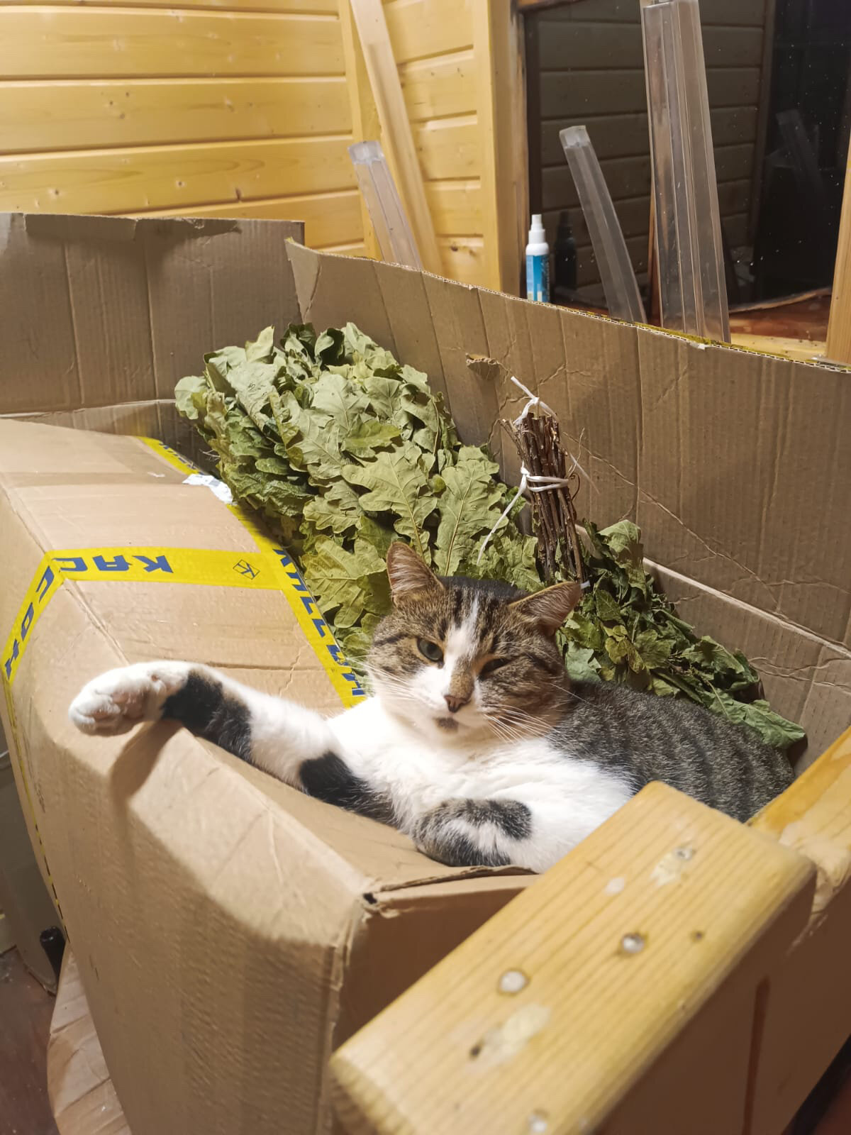 Фото КиноДача