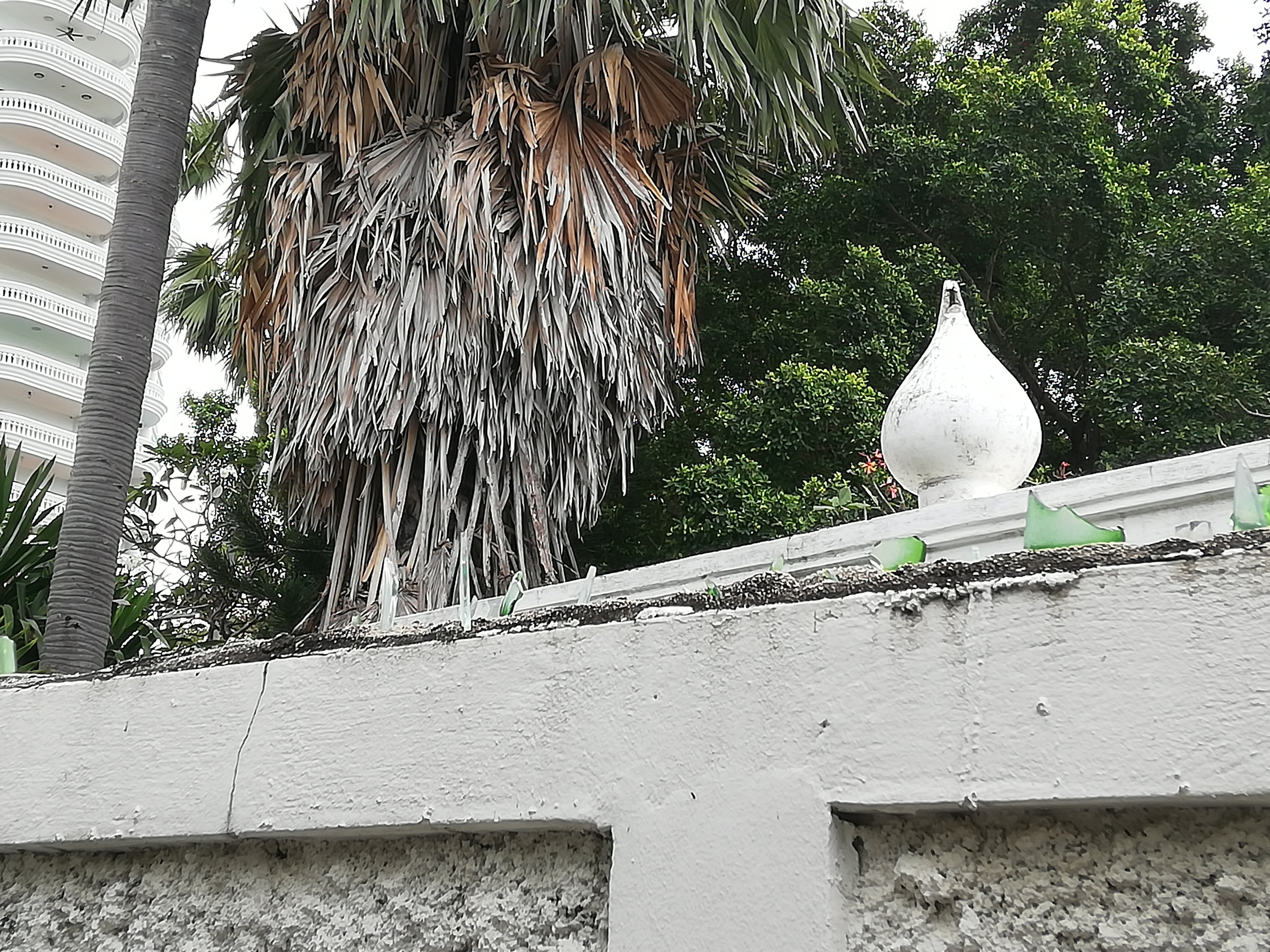 Фото The Palm Wongamat Beach Pattaya