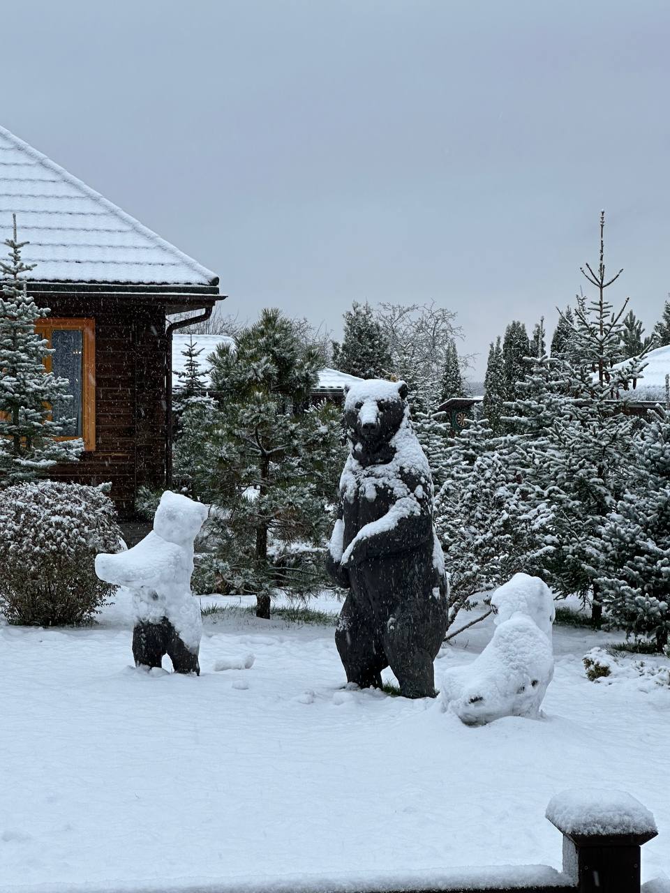 Фото Три медведя