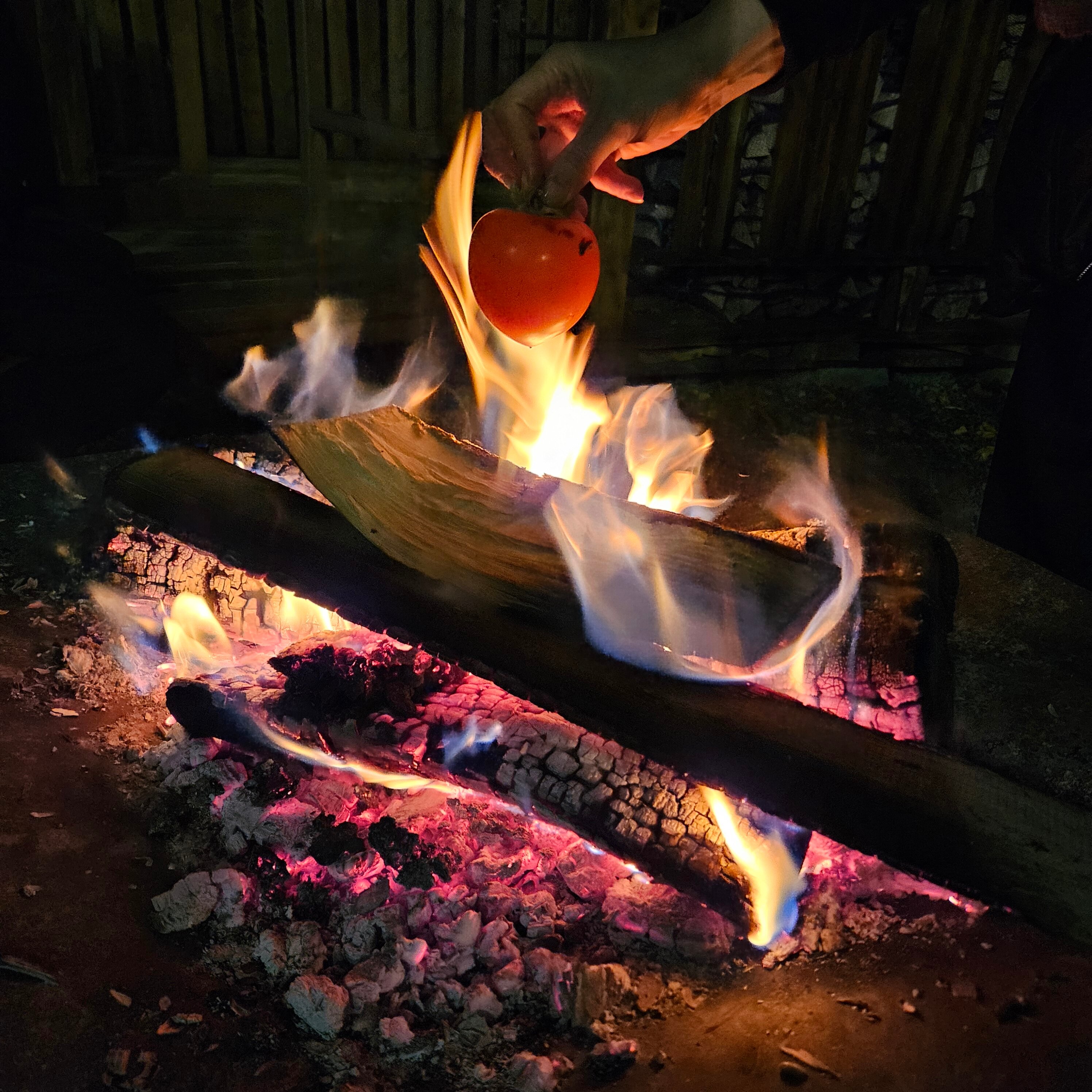 Фото Тебердом