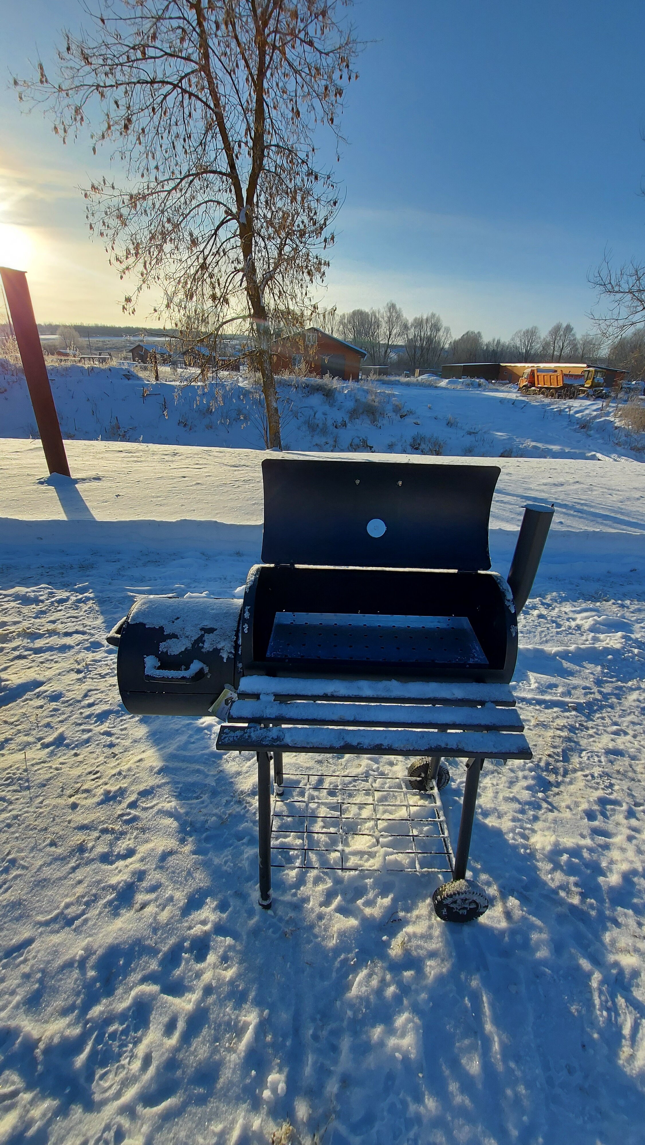 Фото Ёлки-Палки