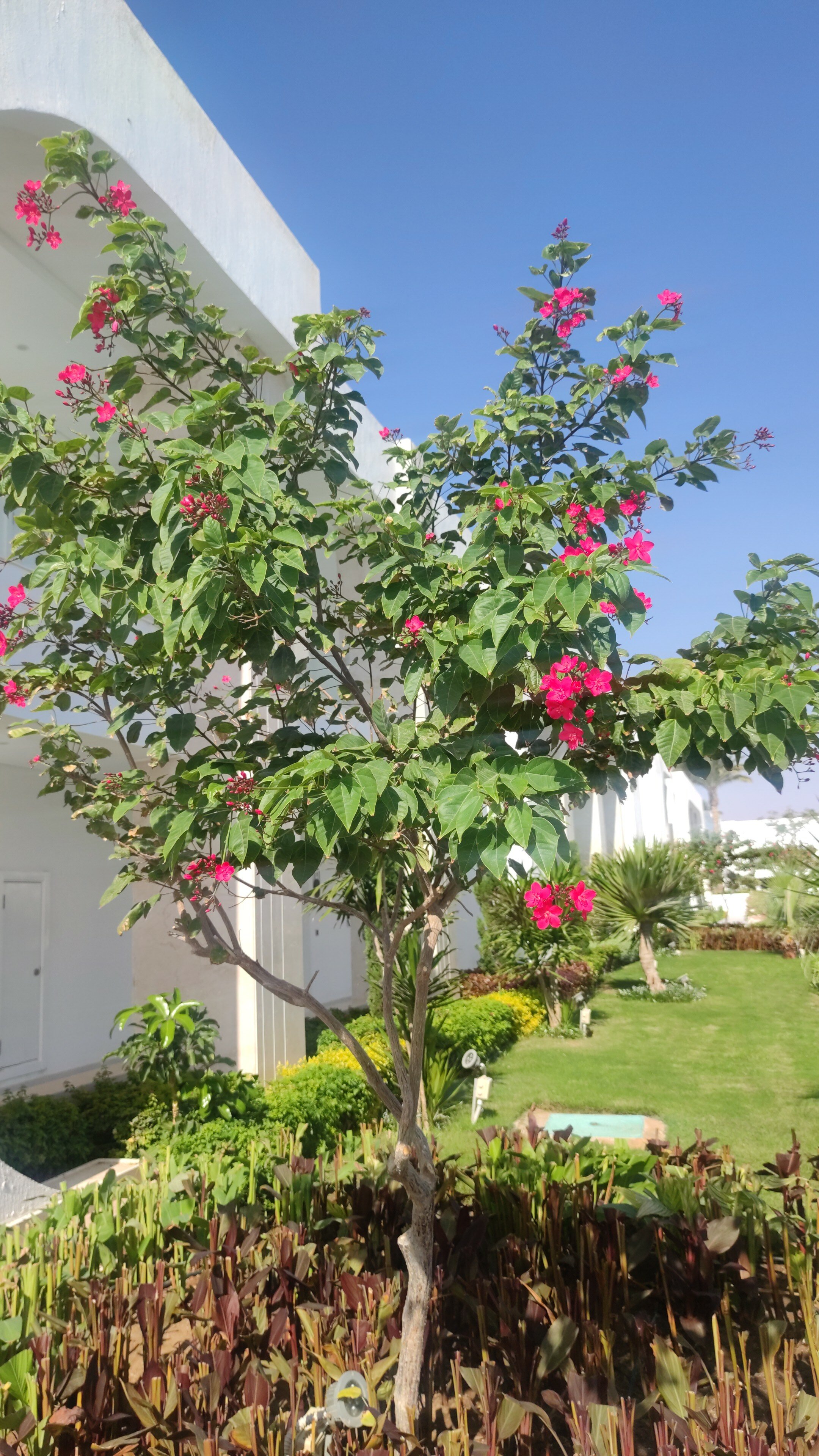 Фото White Hills Resort
