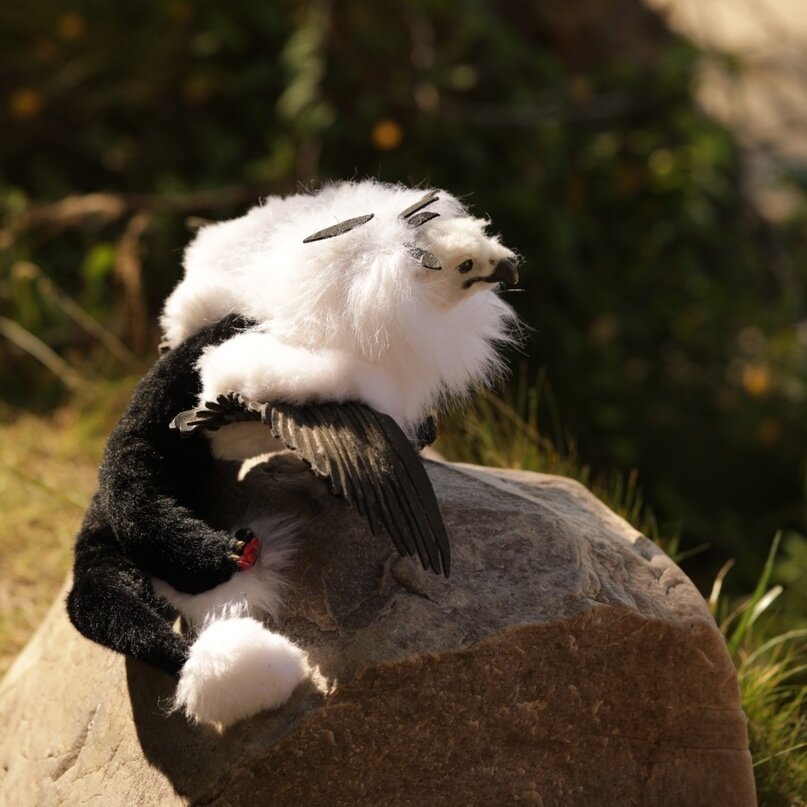 Фото Берег Грифона