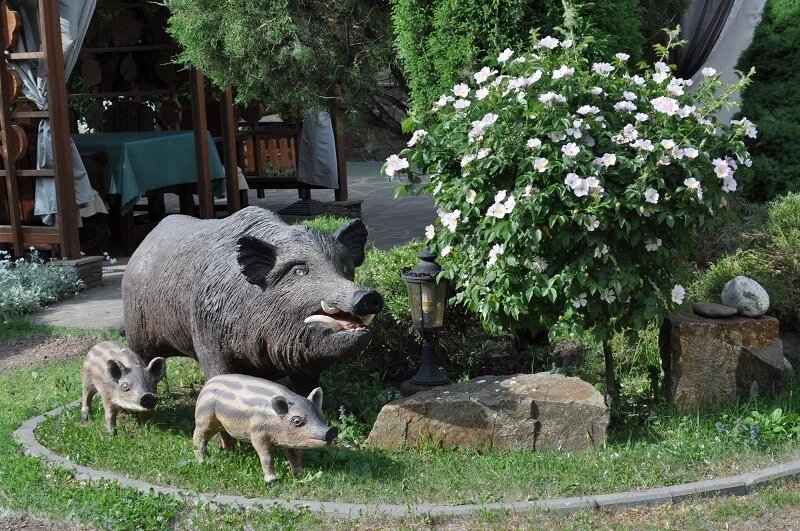 Фото Охотничий клуб