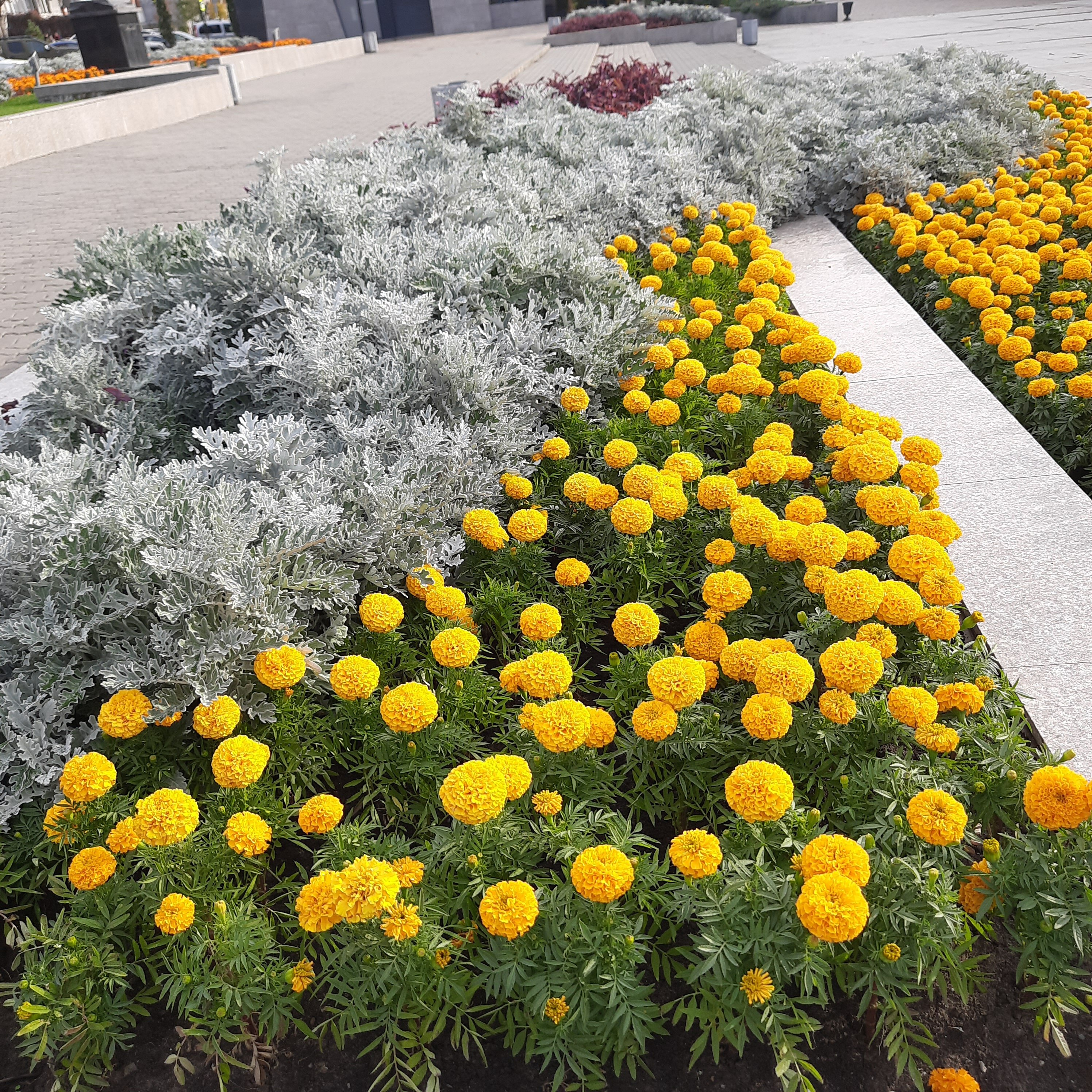 Фото Колизей