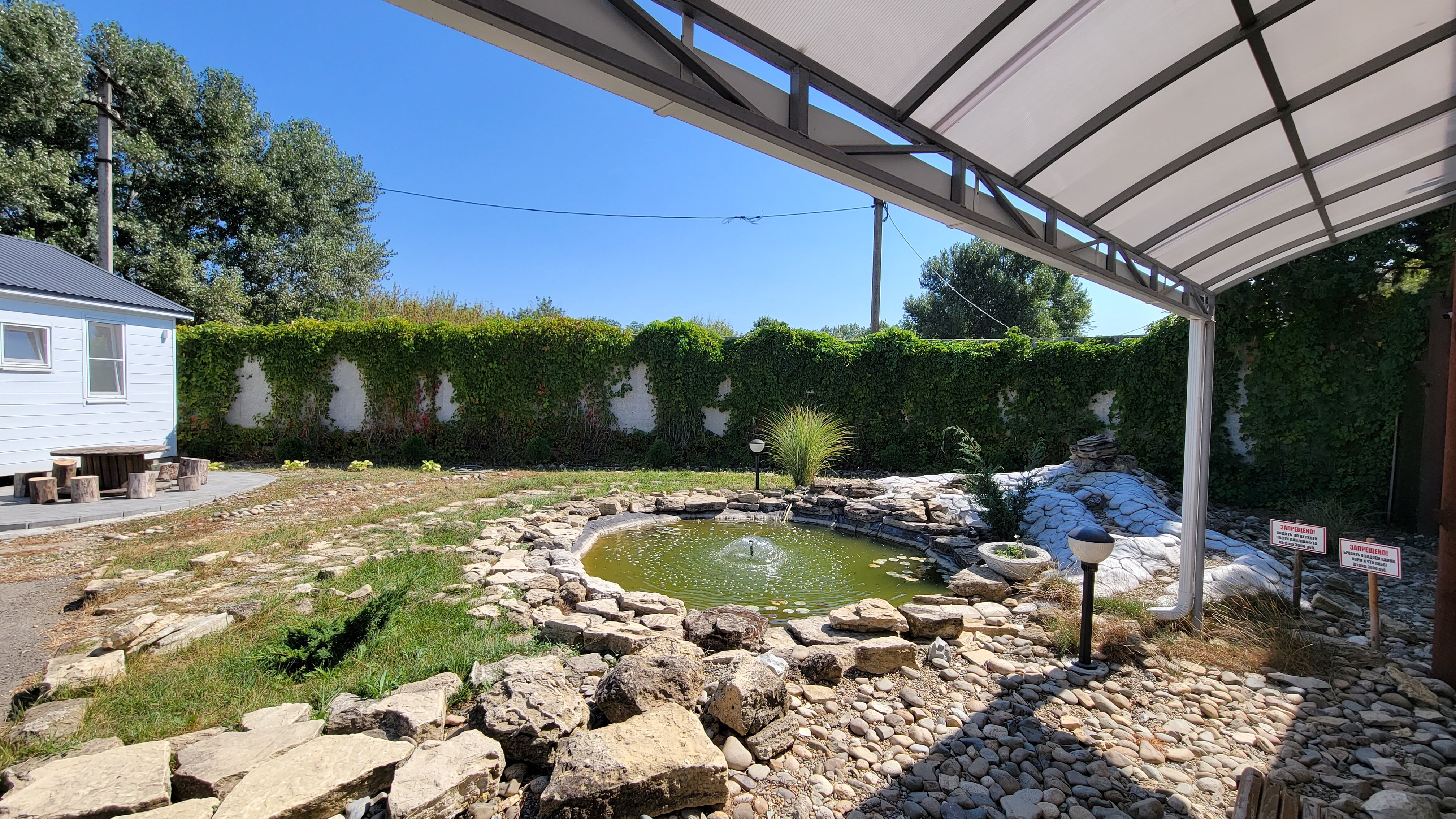 Фото Светлана