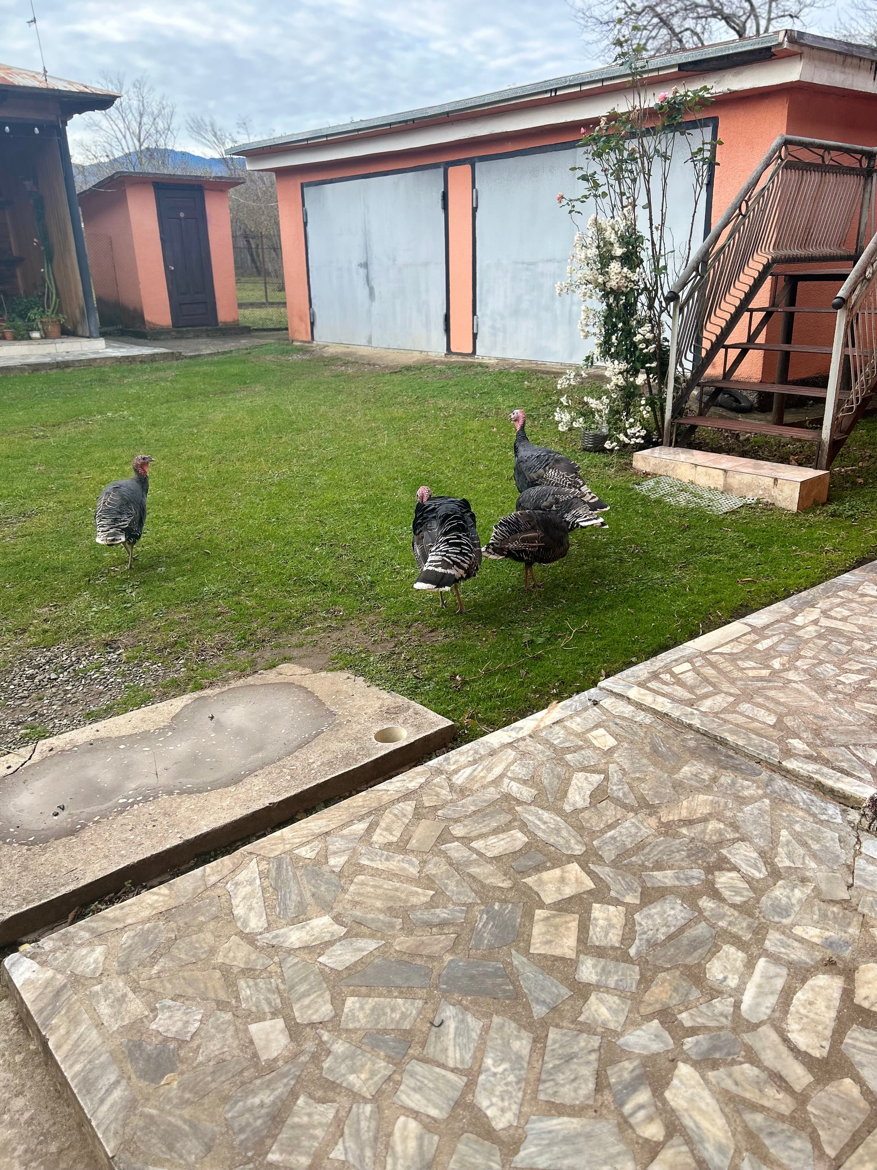 Фото Мини-отель Matua