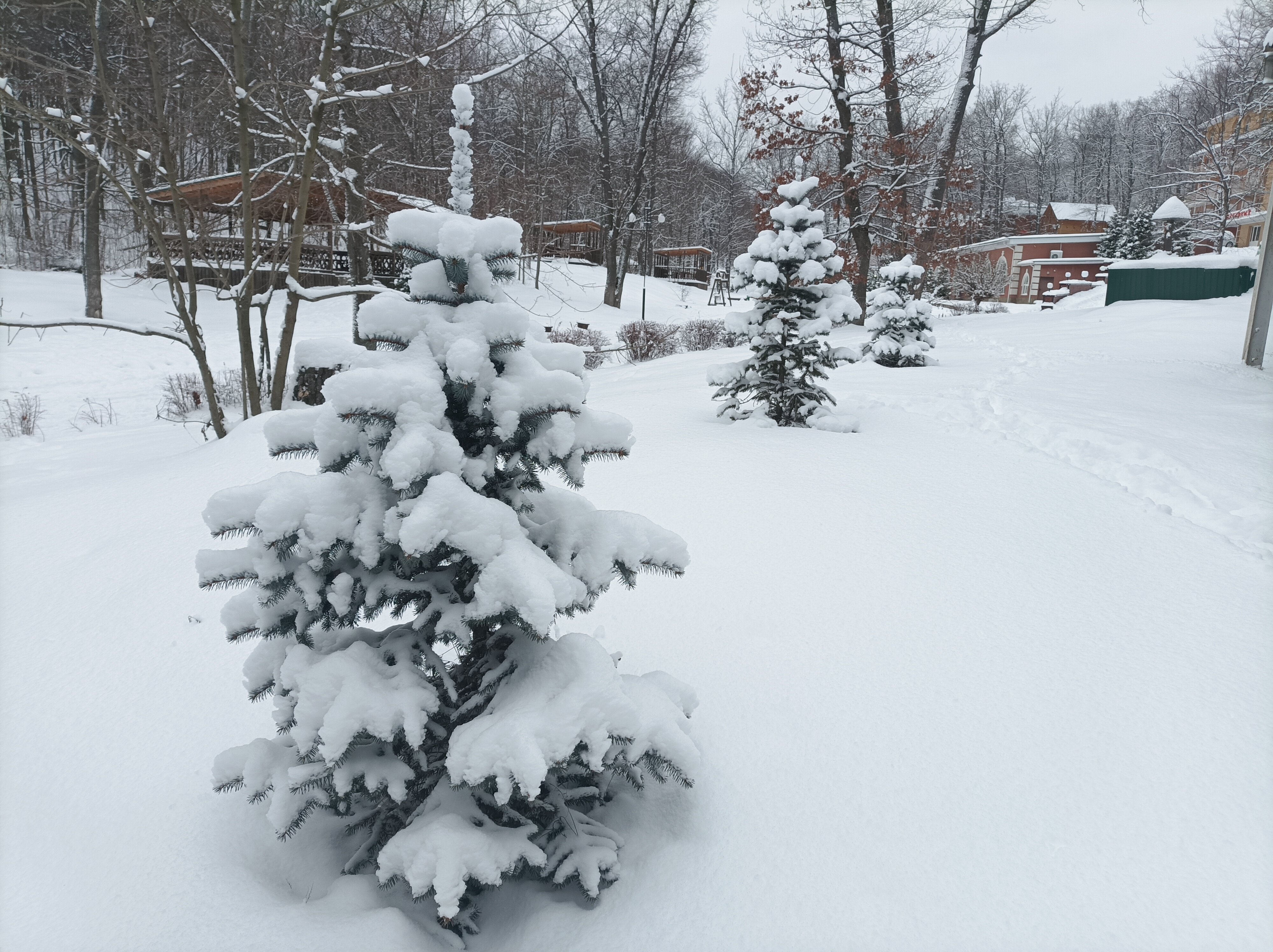 Фото Немецкая Слобода