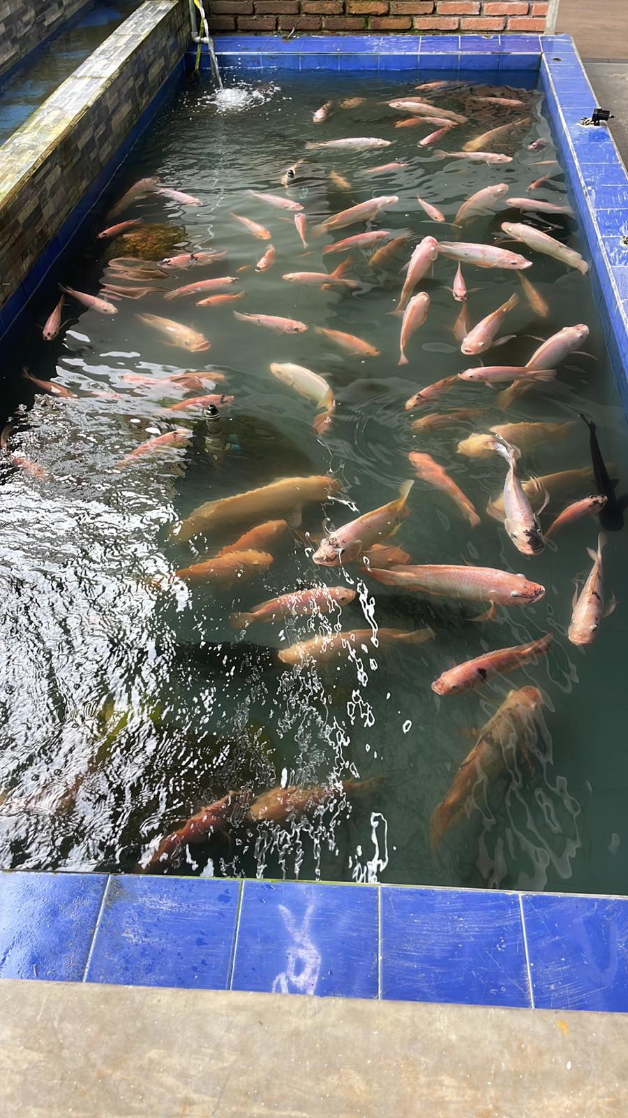 Фото Coral Sands Hotel