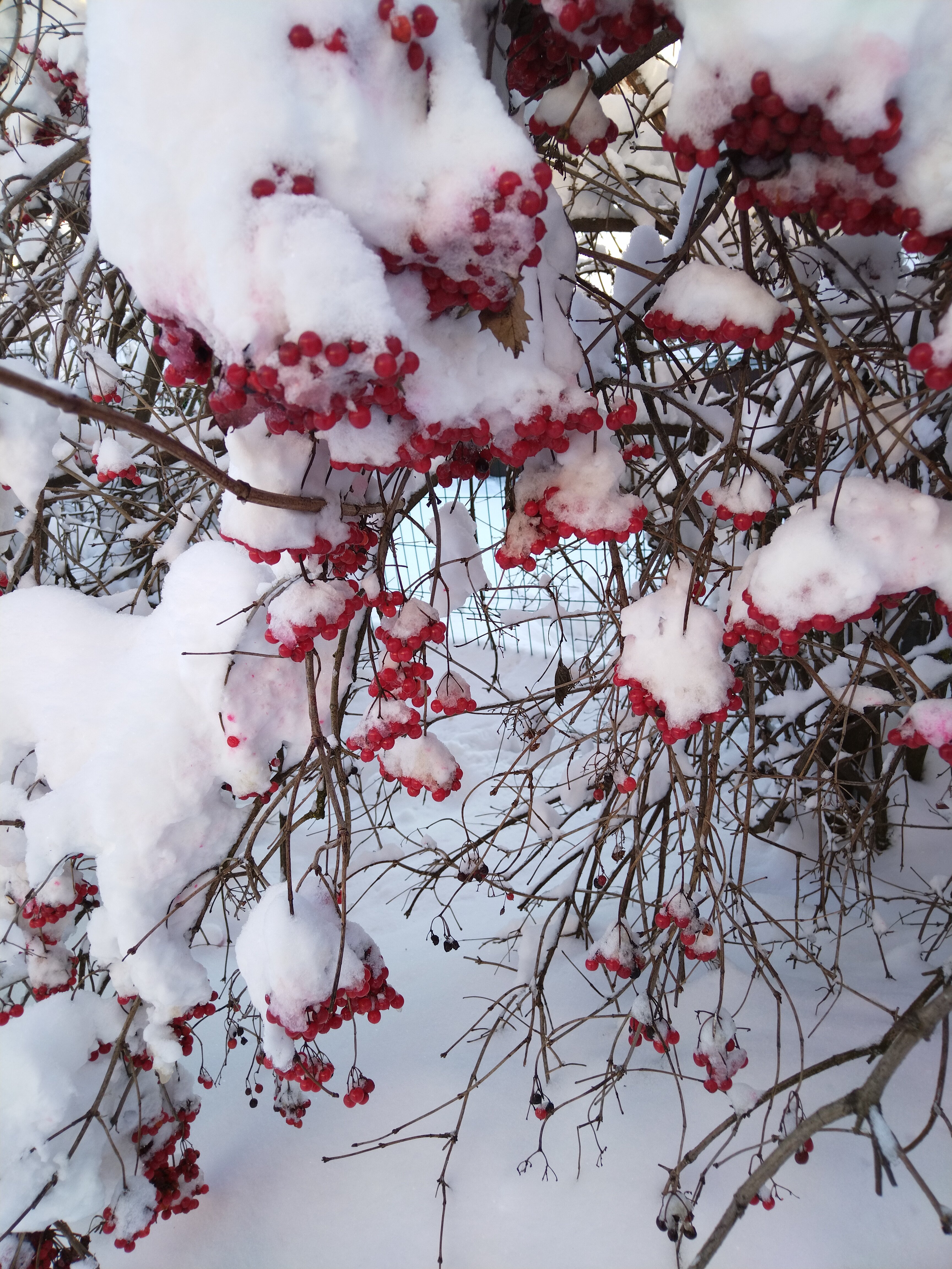 Фото Усадьба