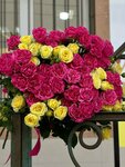 Khadi Flo (Uchitelskaya Street, 7), flower shop