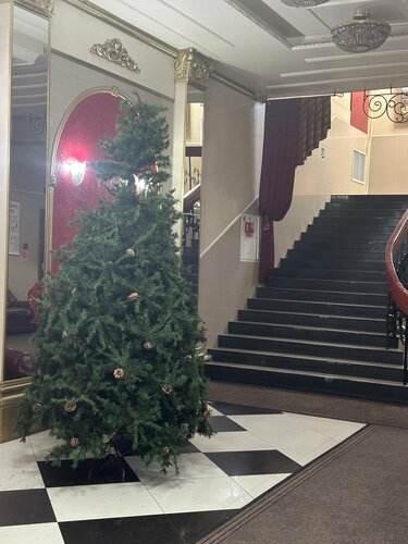 Внешний вид отеля Даурия в Чите, фото 3