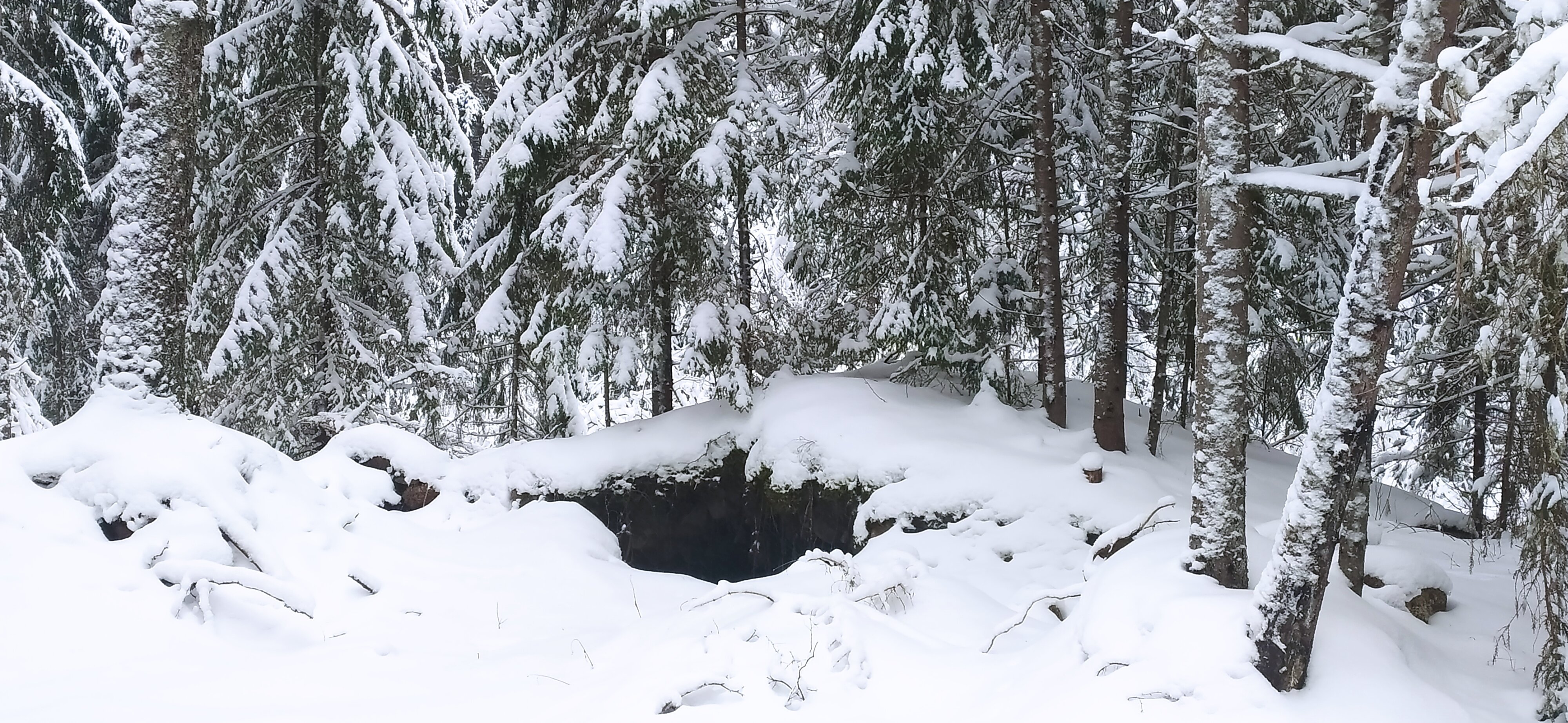 Фото Заречье