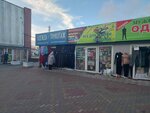 Все для сада и огорода (Kaliningrad, Dzerzhinskogo Street, 79к6) ، متجر البذور