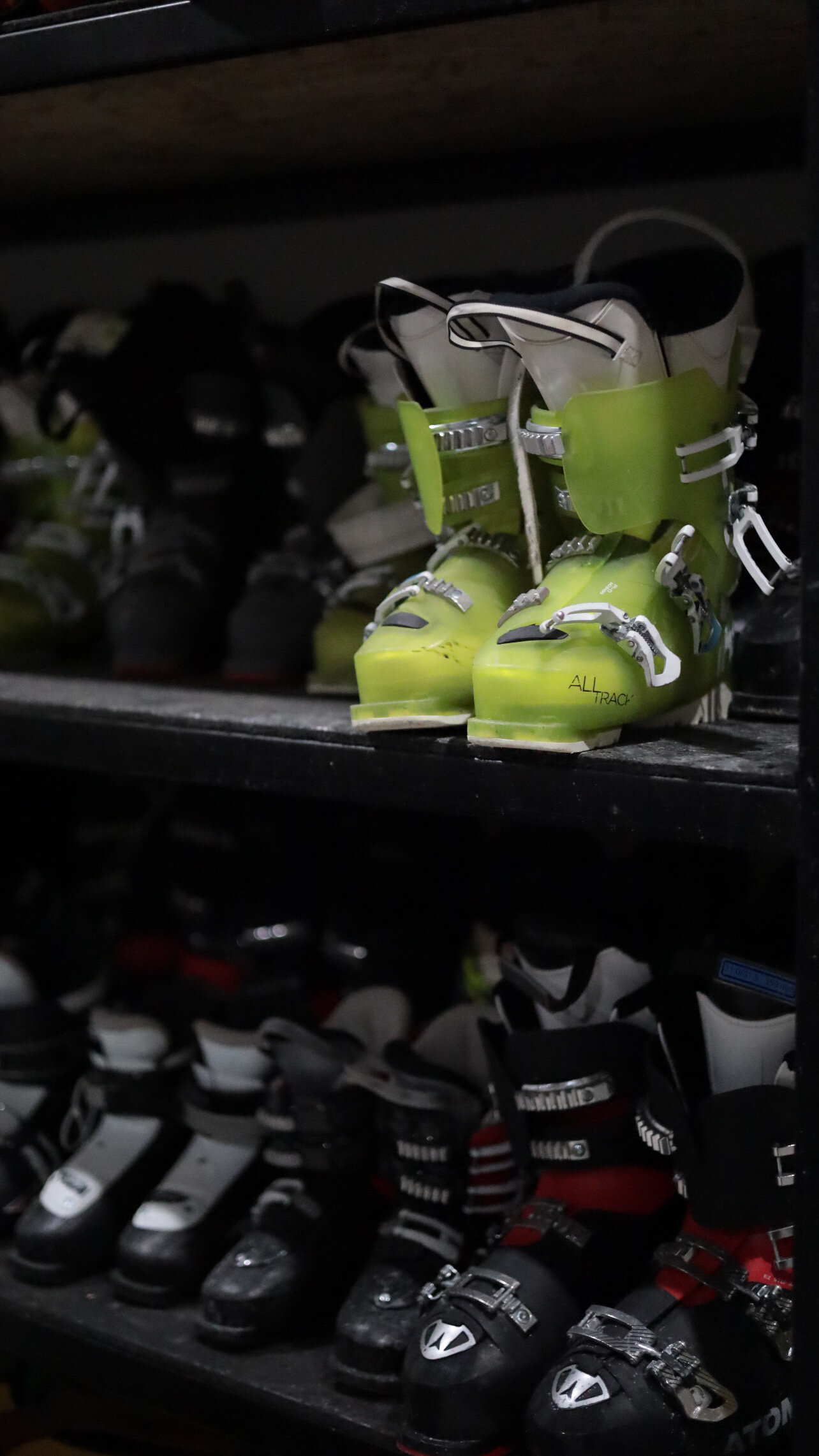 Фото Альпийский