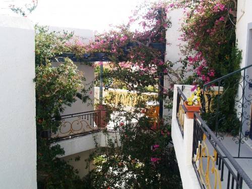 Фото Afroditi Apartments