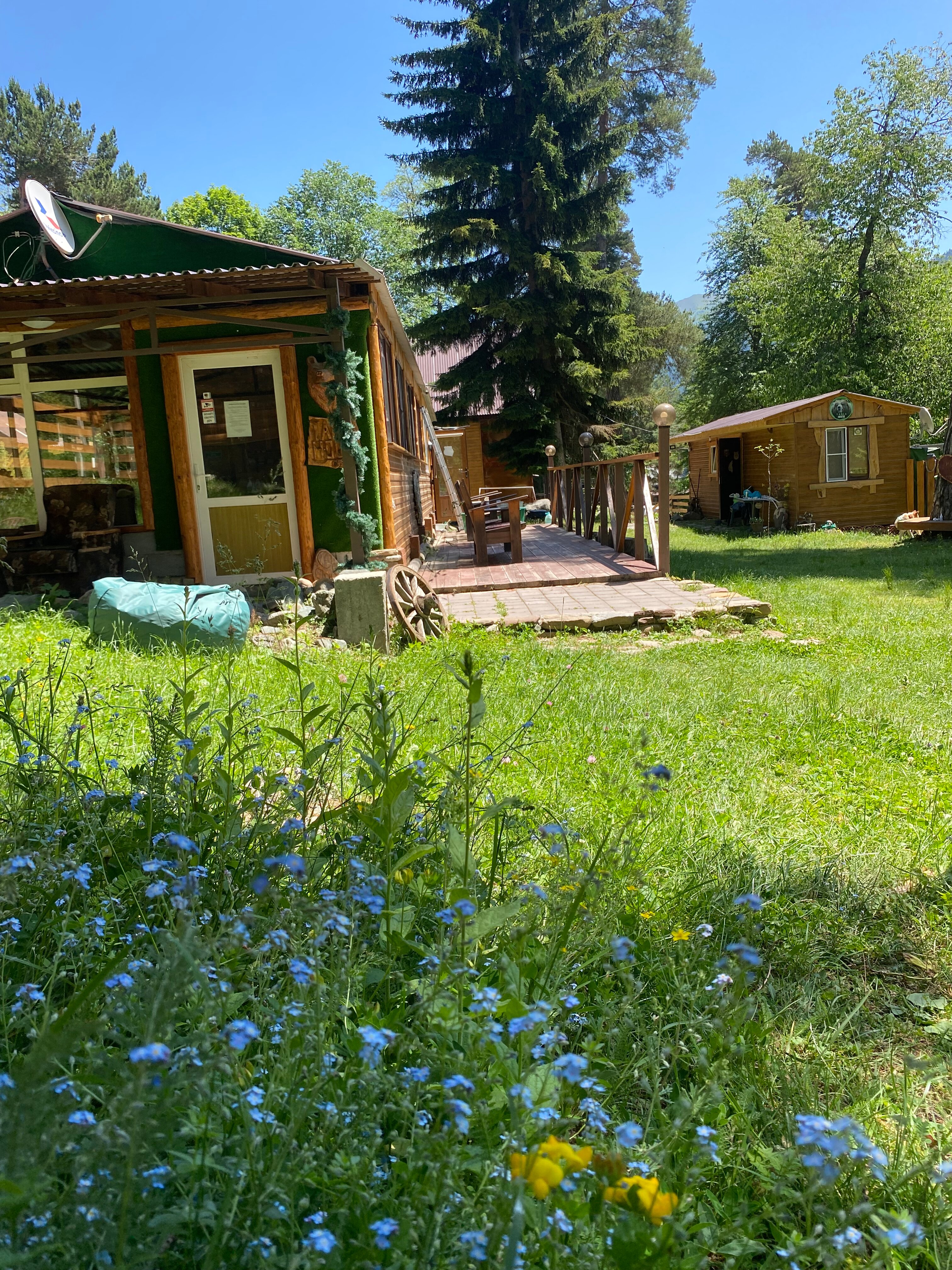 Фото Тайга House