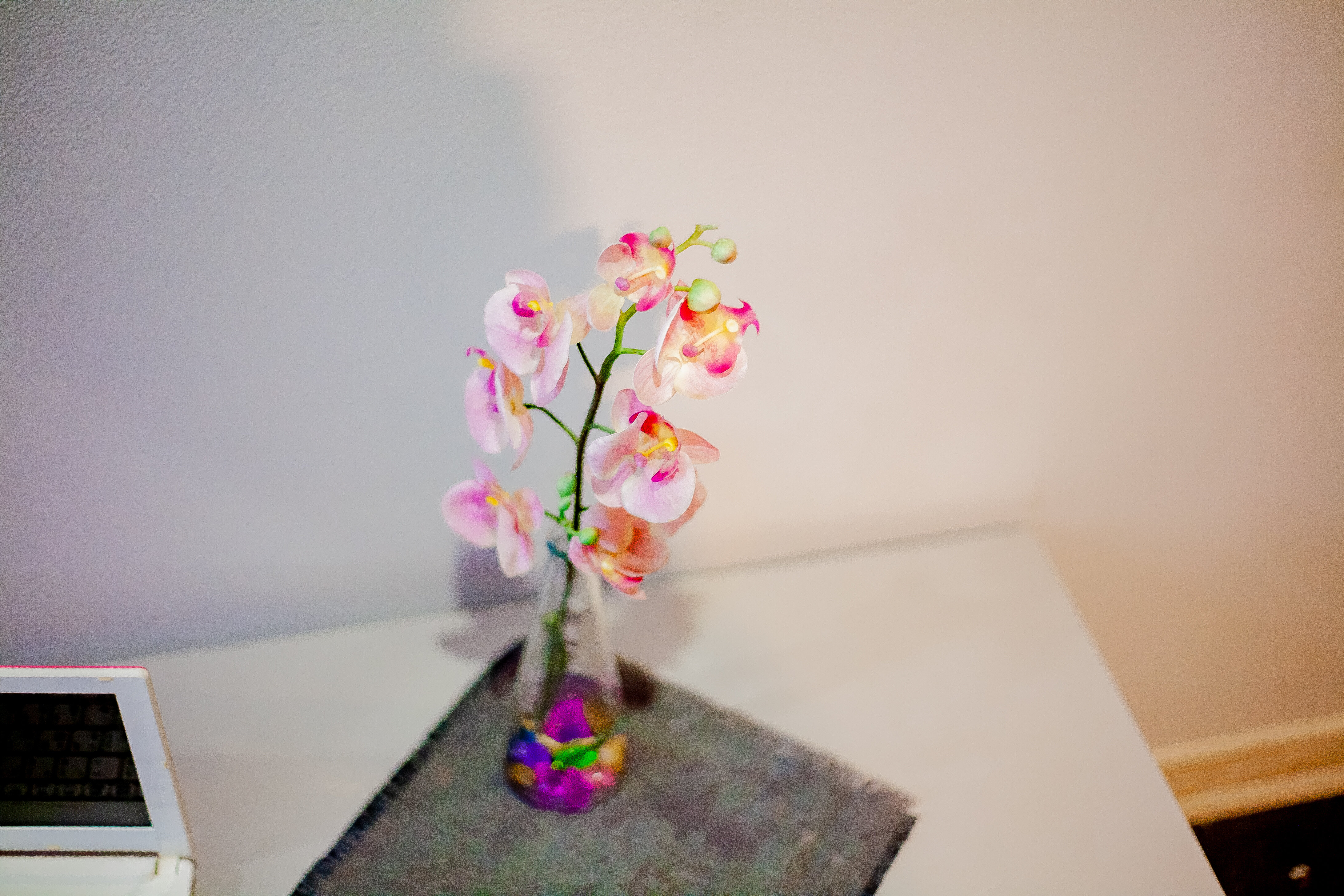 Фото Flats for soul