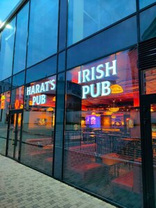 Harat’s pub (Admirala Serebryakova Embankment, 27А), bar, pub