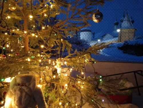 Дом в аренду Хорс в Ростове