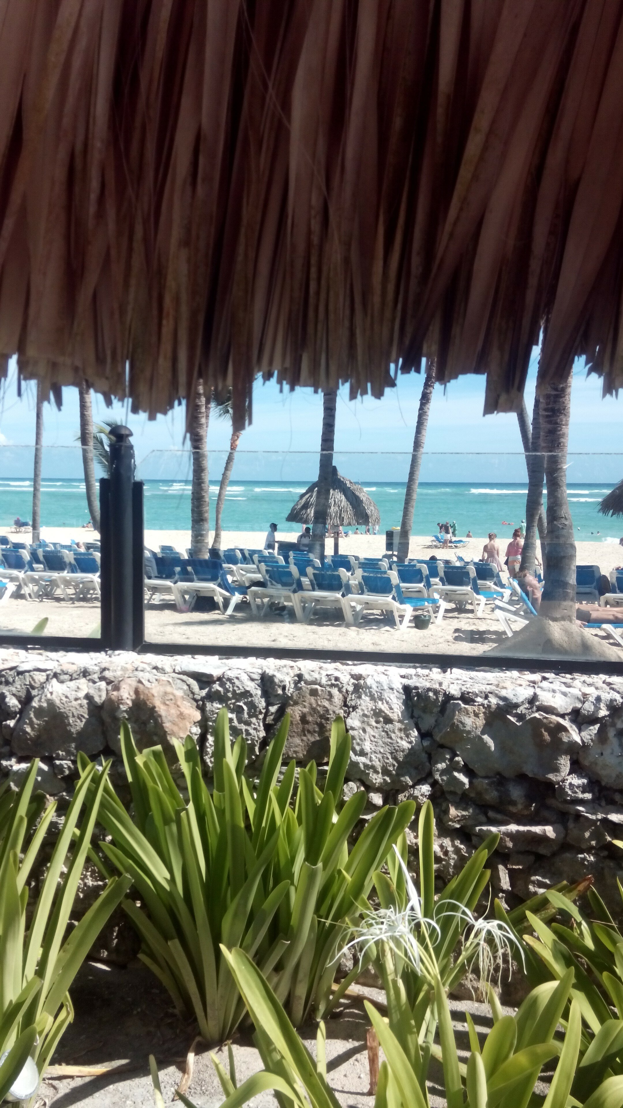 Фото Bahia Principe Grand Punta Cana