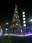 Городская ёлка (Душанбе, проспект Рудаки), городская ёлка в Душанбе