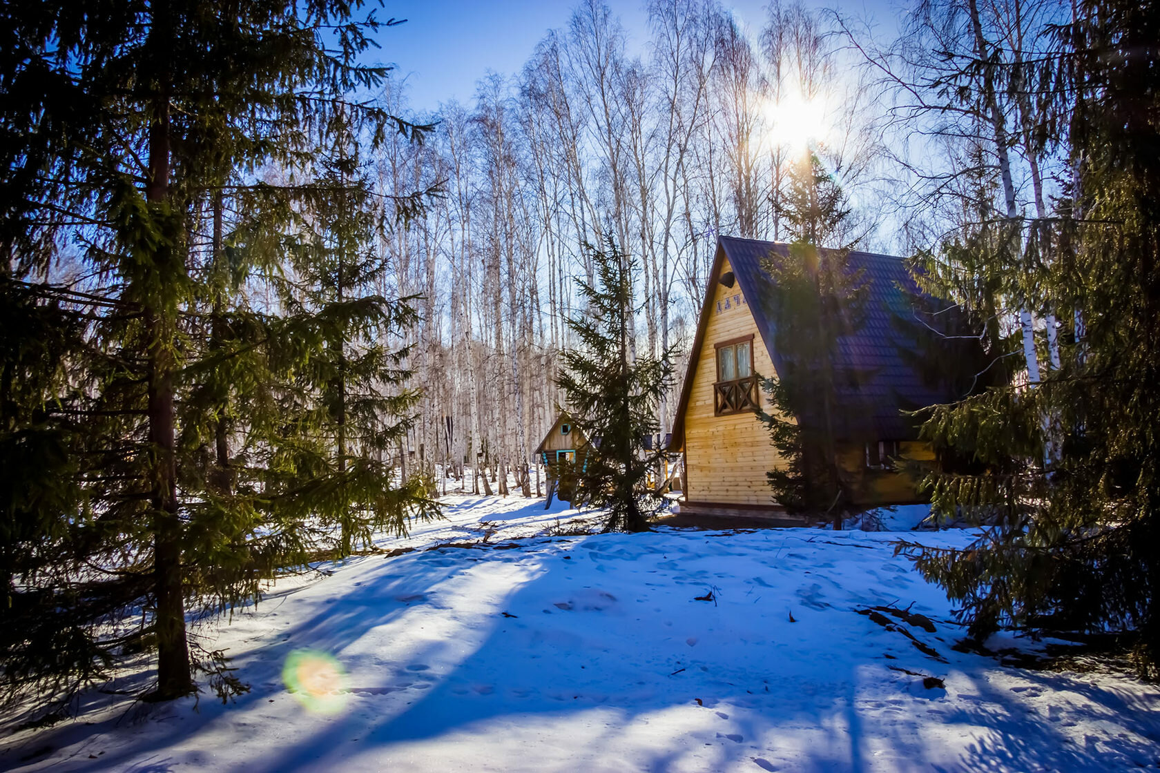 Фото Медвежий угол