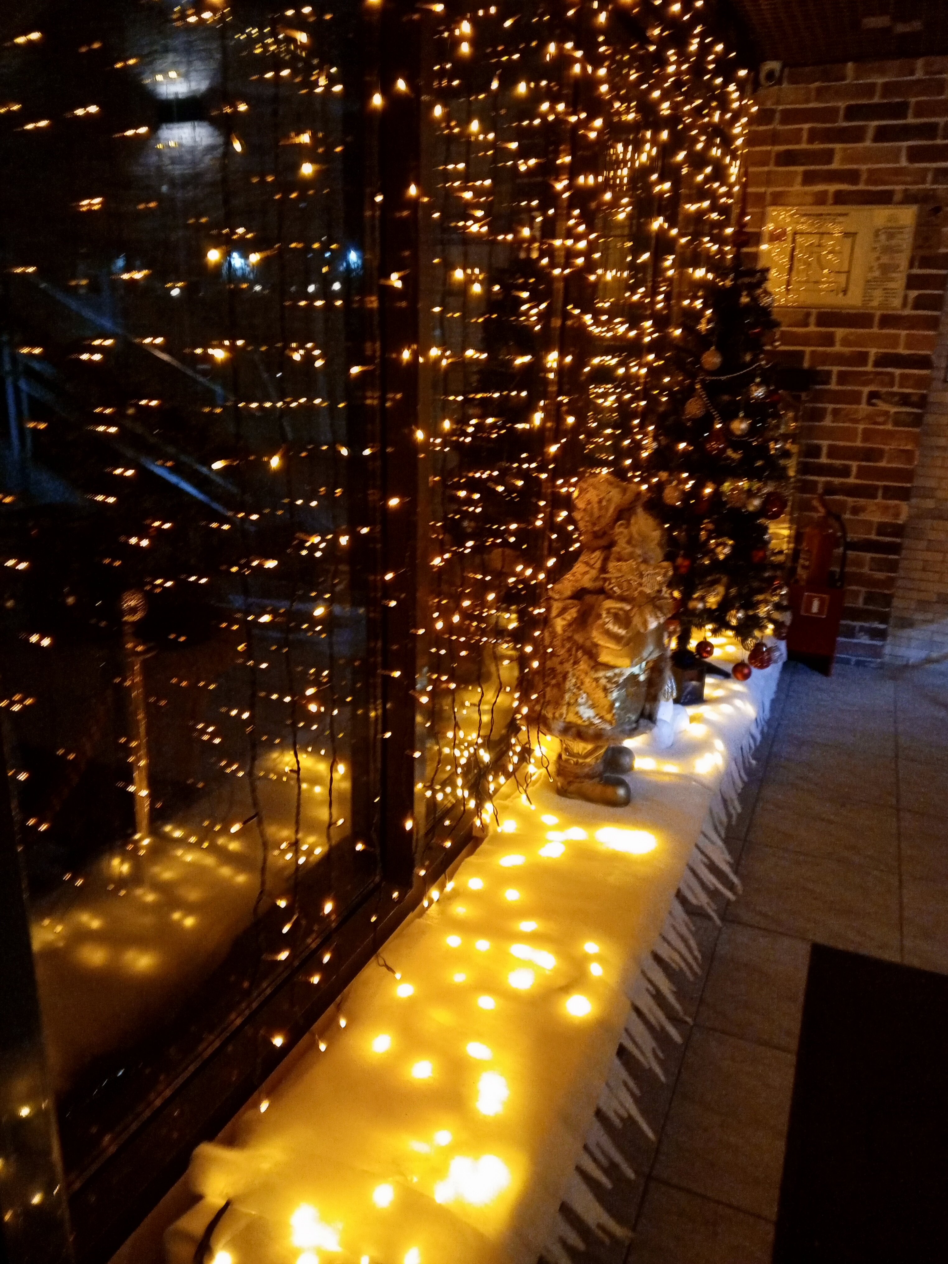 Фото Ester House