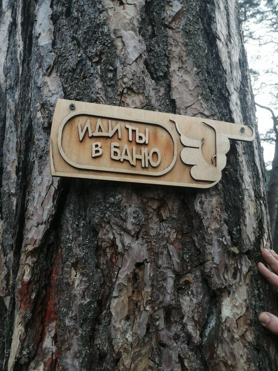 Фото Дача МиСо Теберда