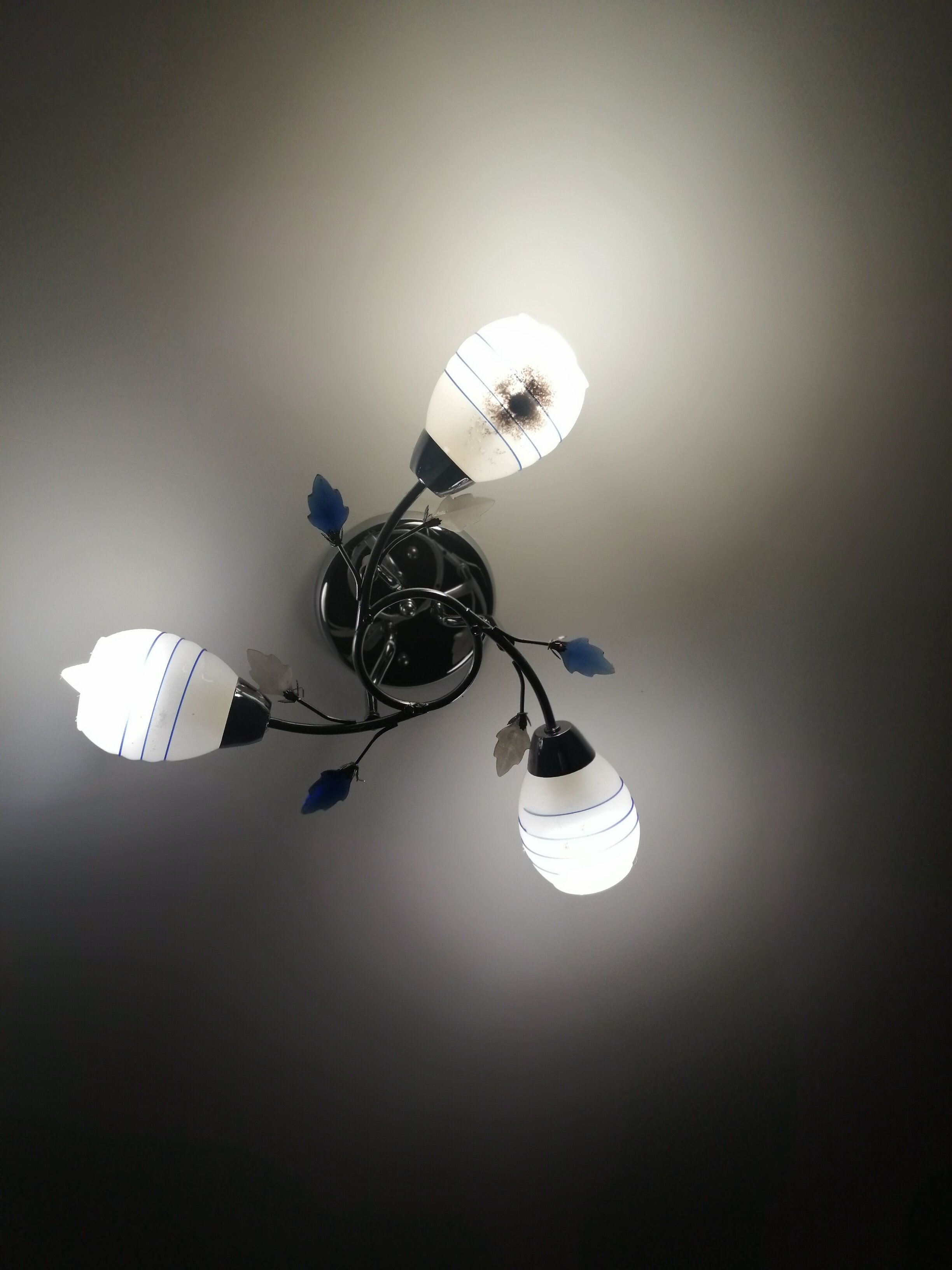 Фото Тихий Дон