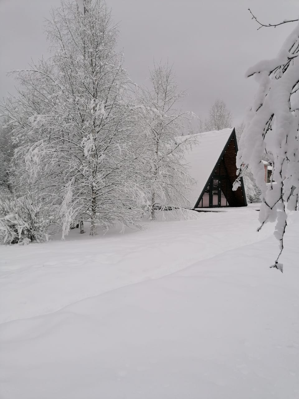 Фото Домики у леса в посуточную аренду