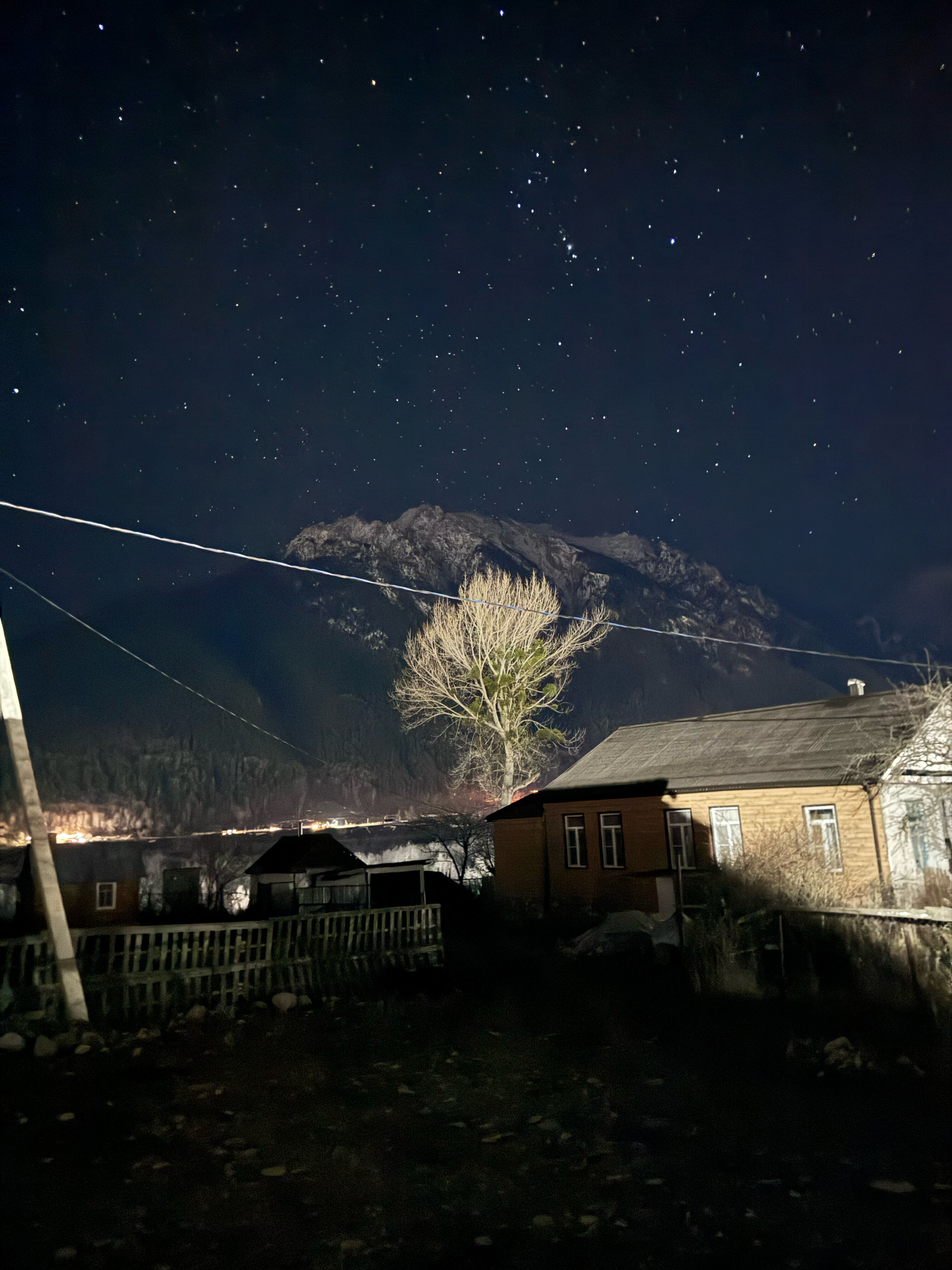 Фото Золотое Руно