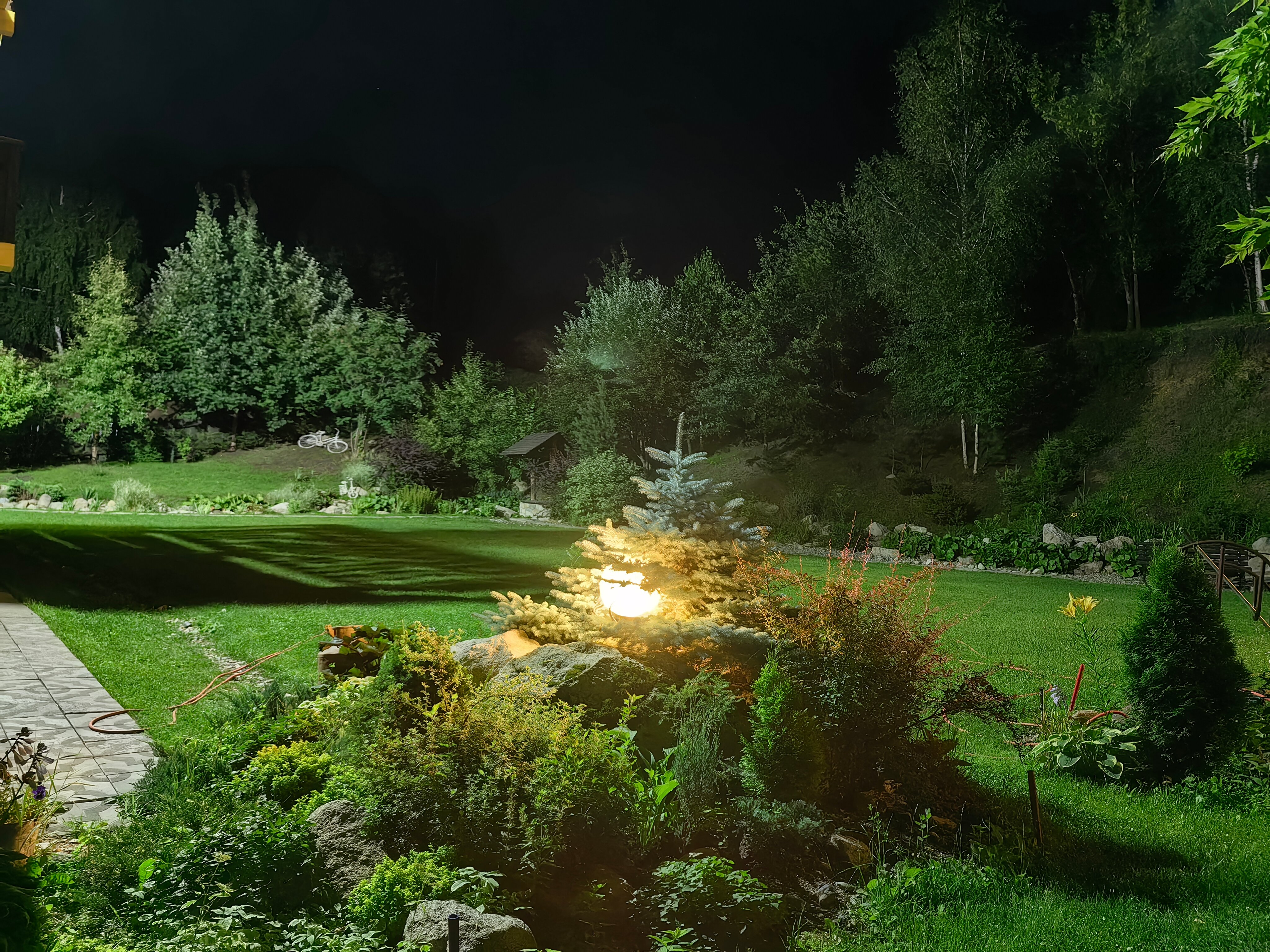 Фото Яковка