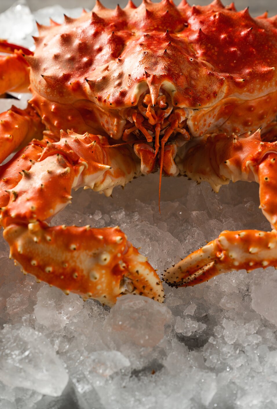 Фото Камчатка Шале