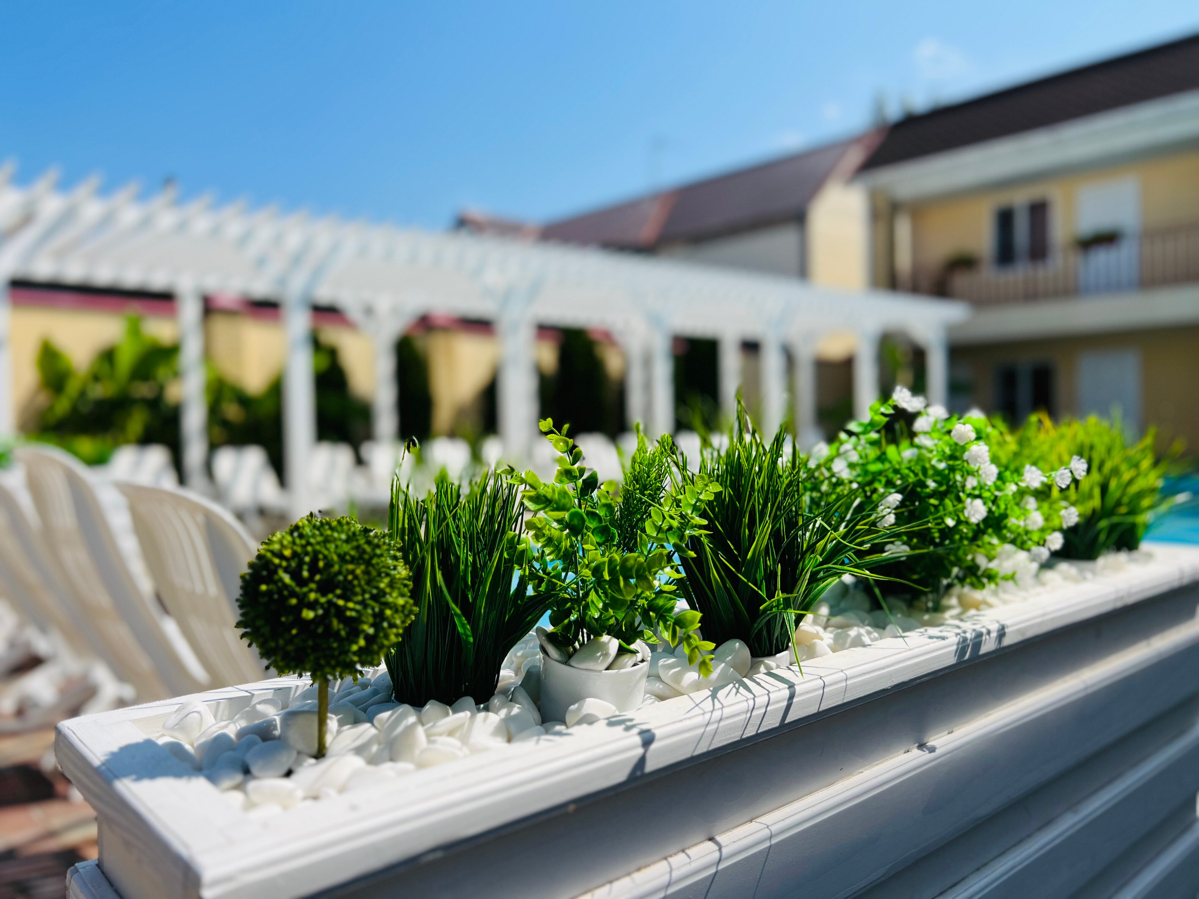 Фото Марлен