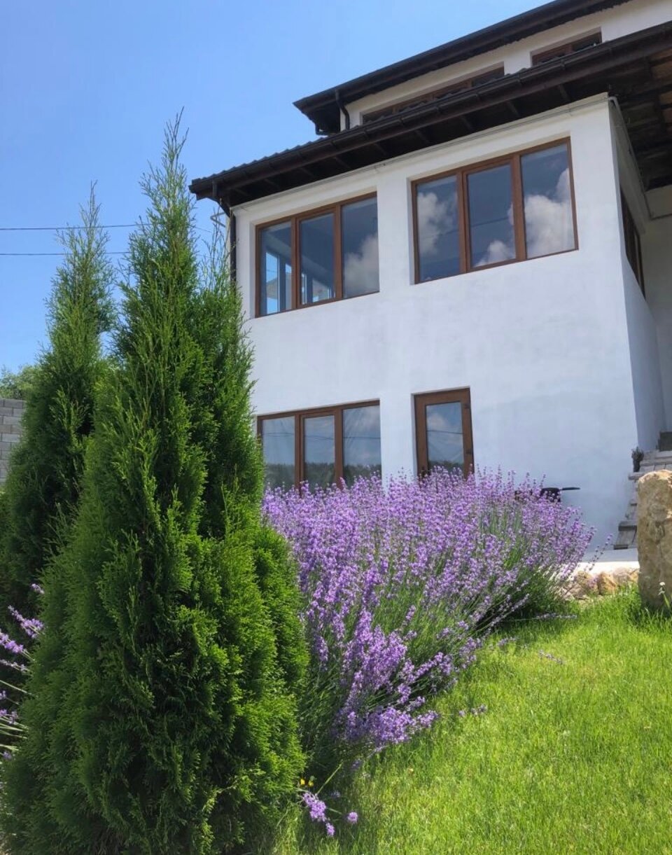 Фото Паганель