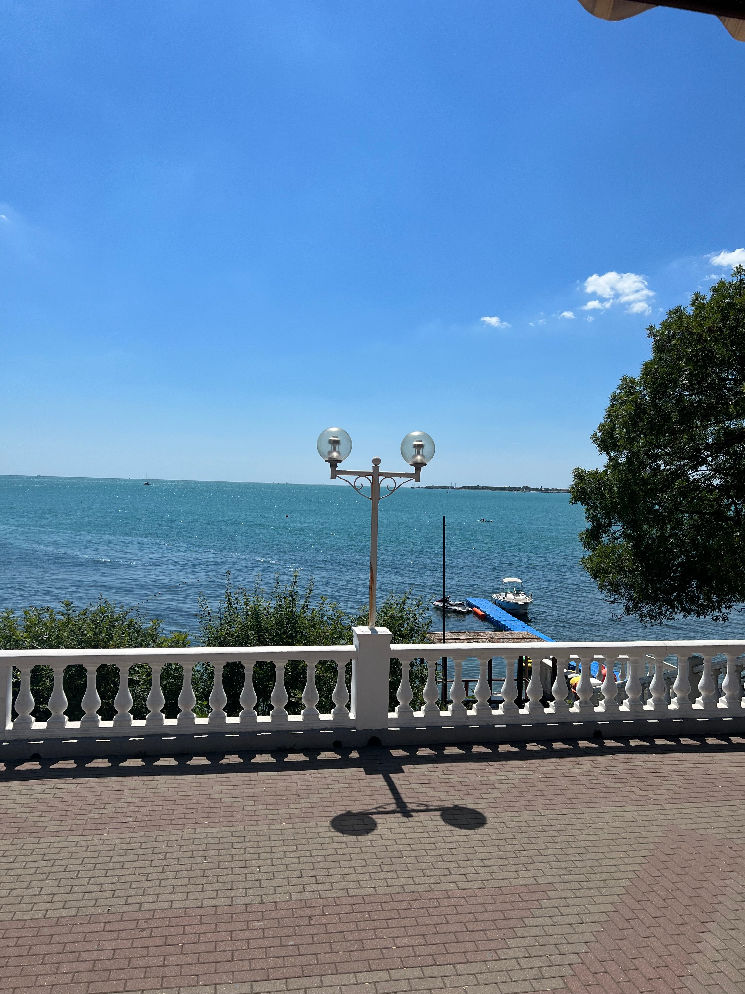 Фото Магнолия