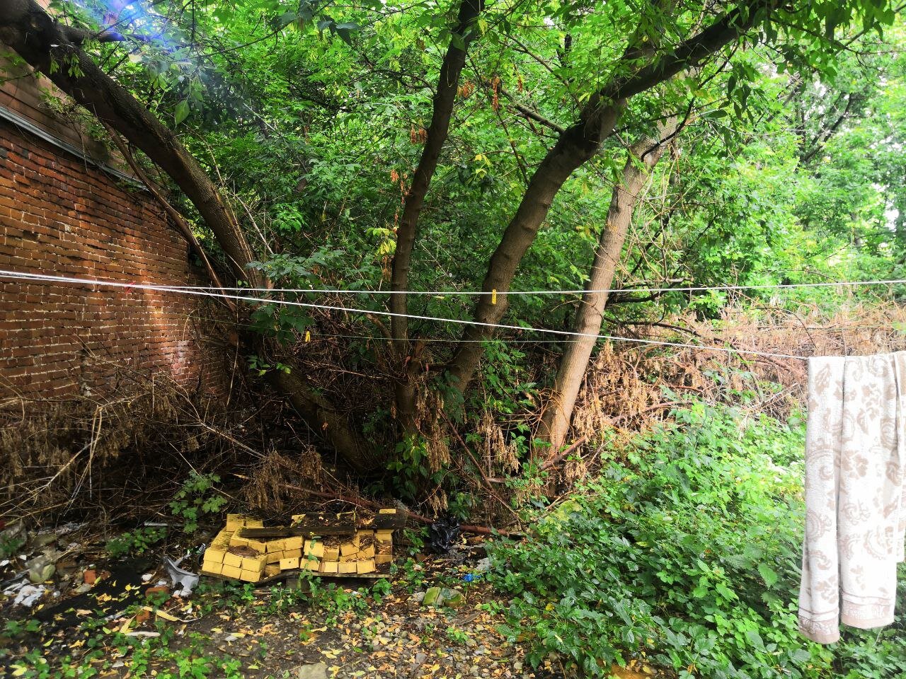 Фото Дрим Хаус