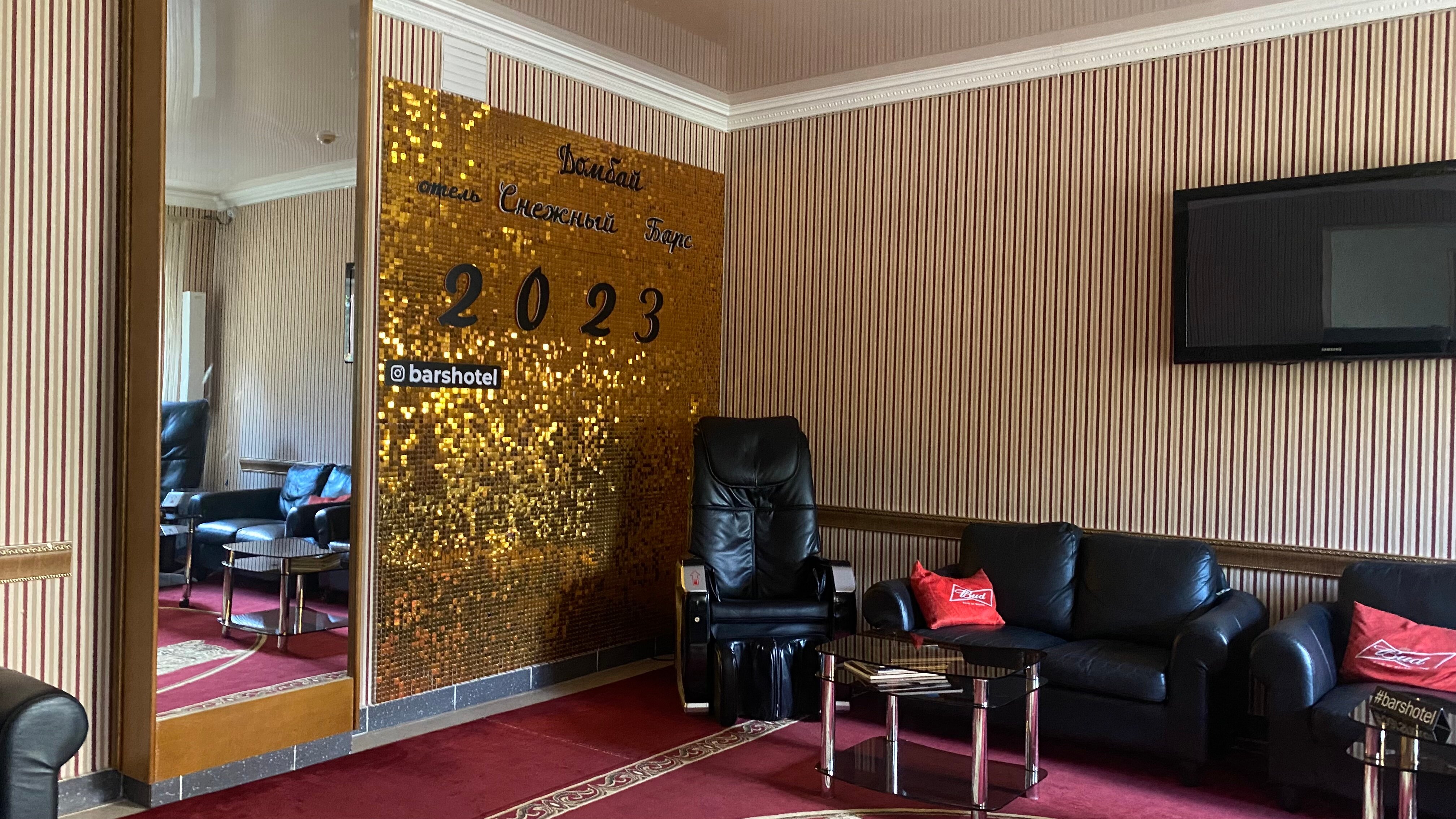 Фото Снежный Барс