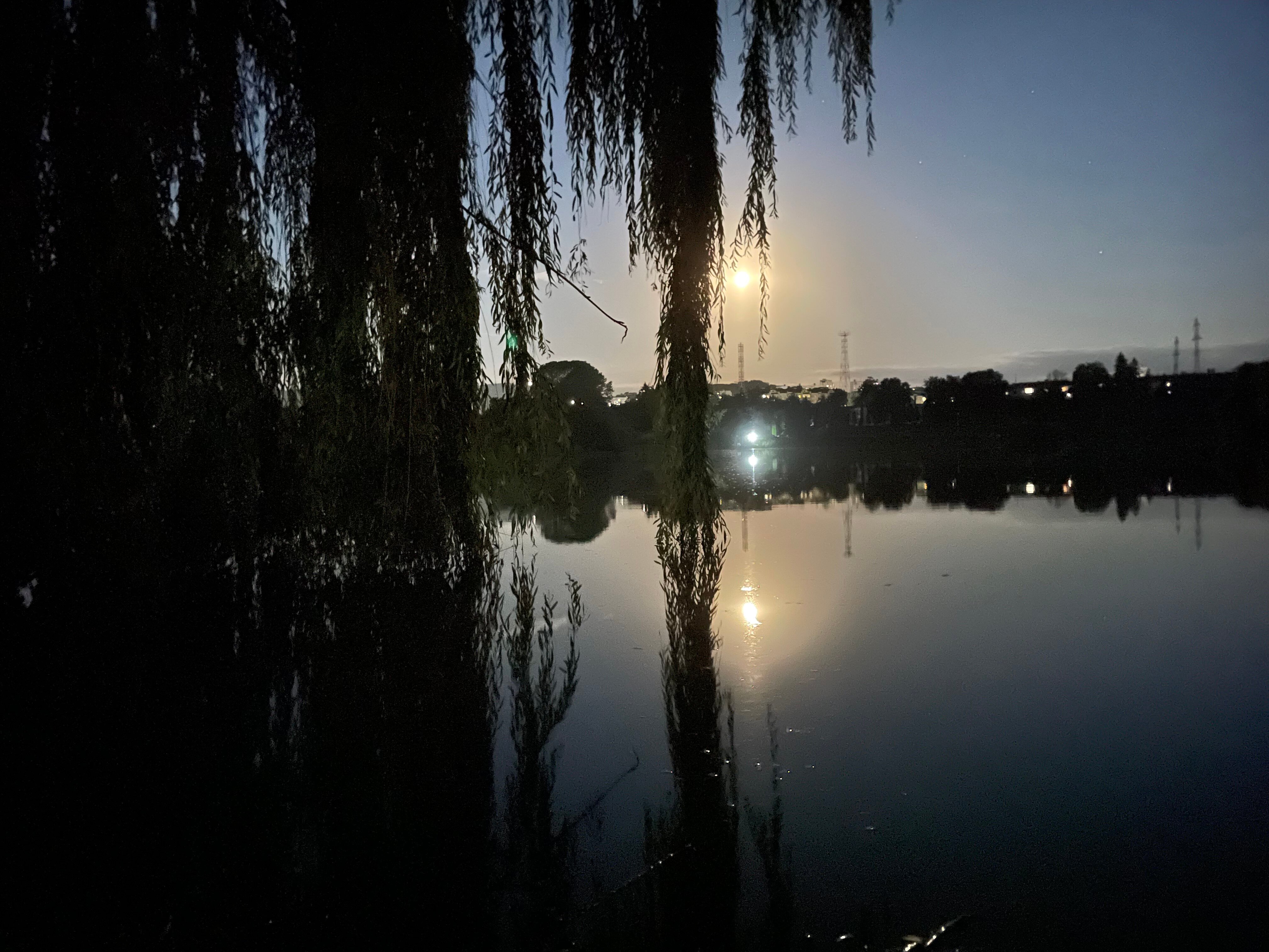 Фото Лагуна