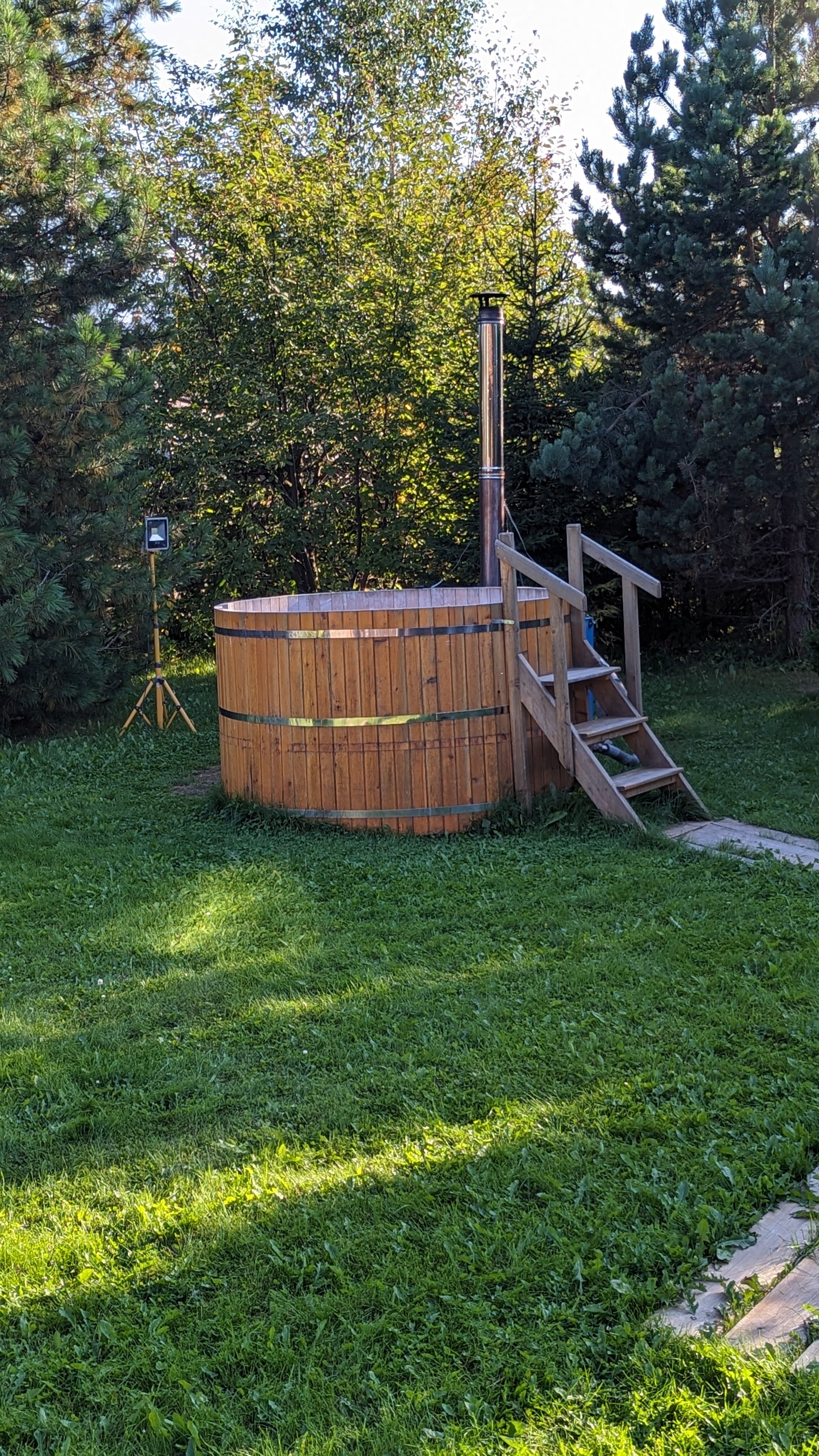 Фото Снежные Гуси