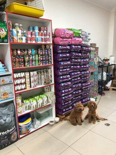 Best pet shop deals