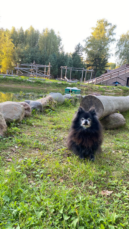 Фото Южный Паркъ