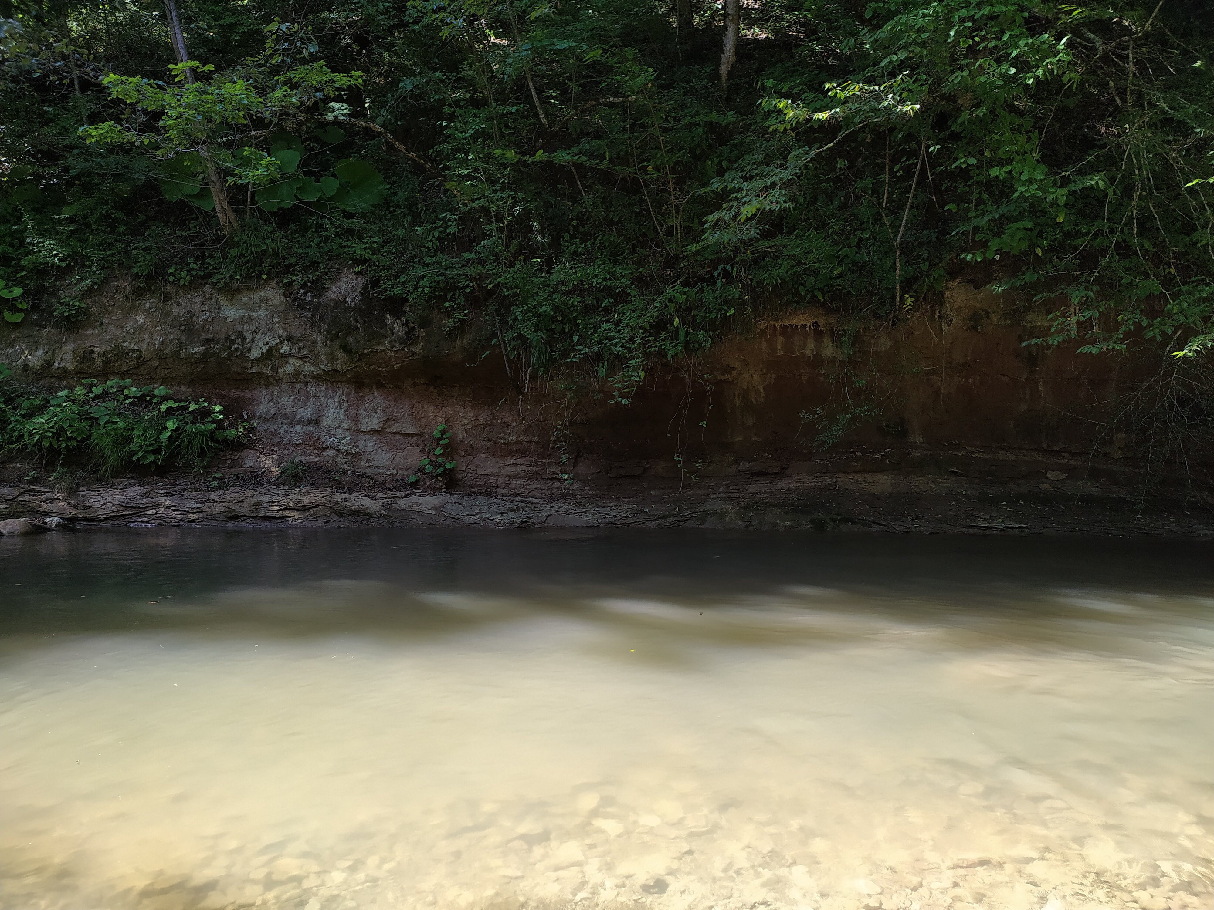 Фото Лесной