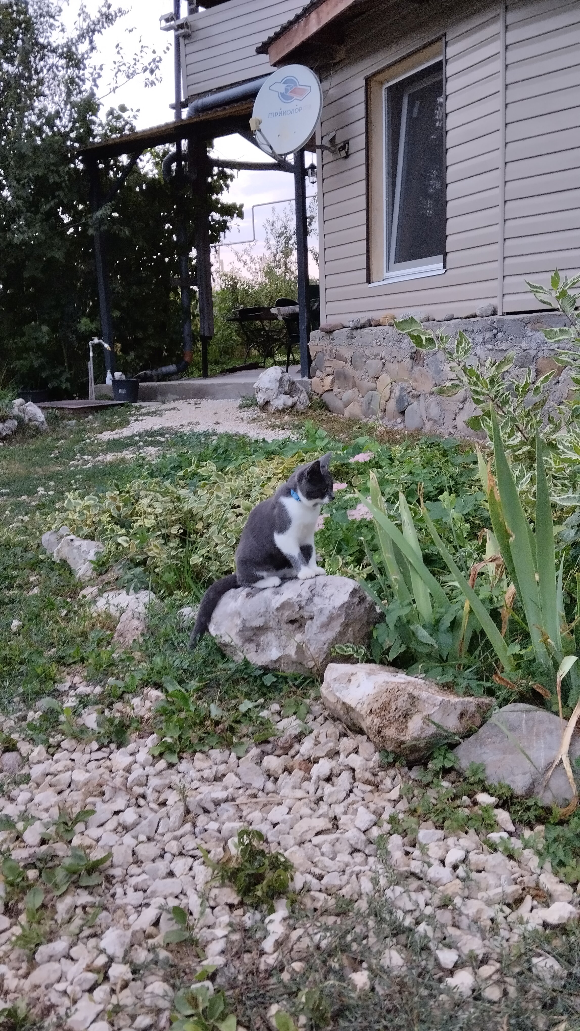 Фото Солнечная горка