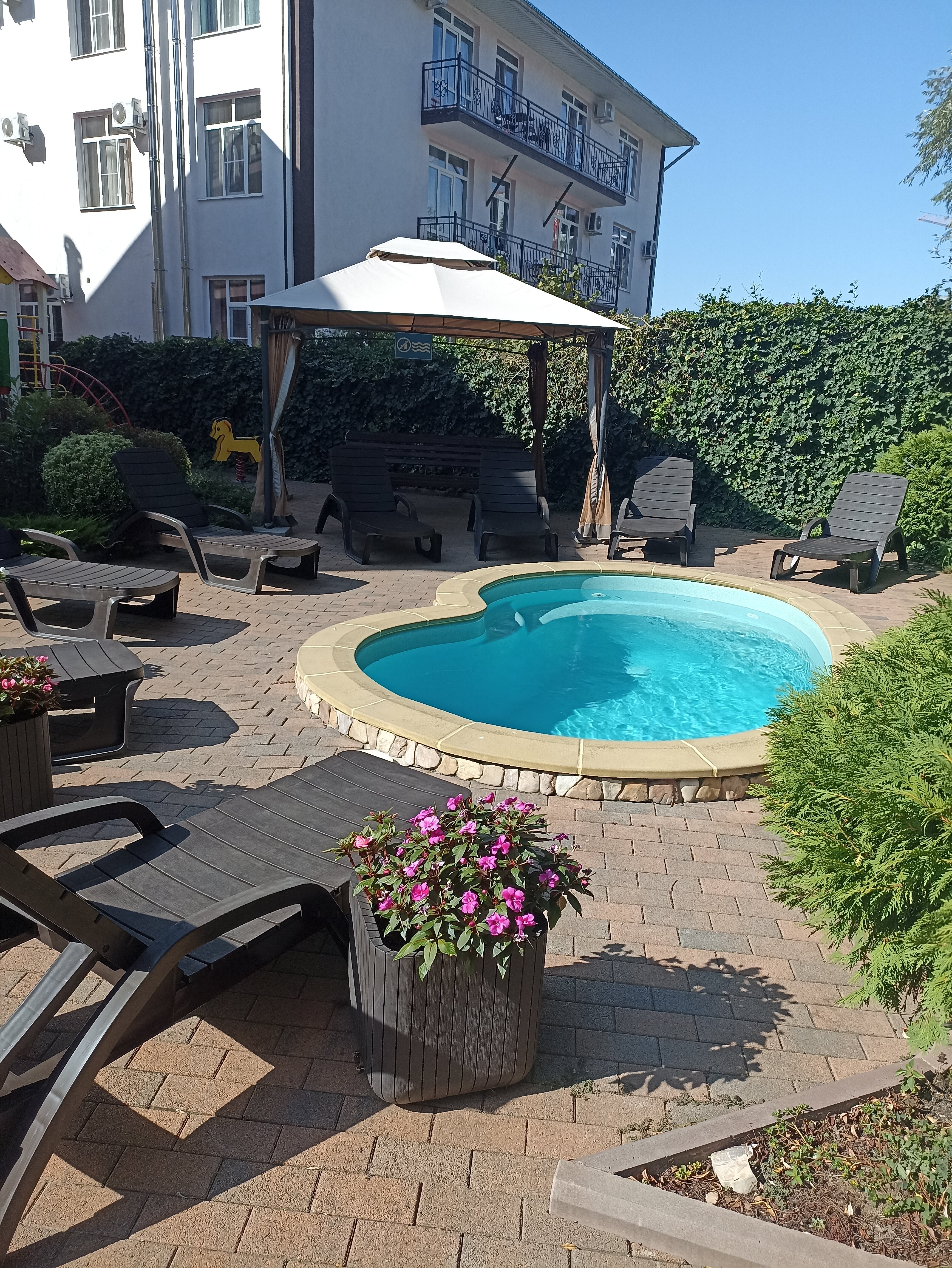 Фото Брауни