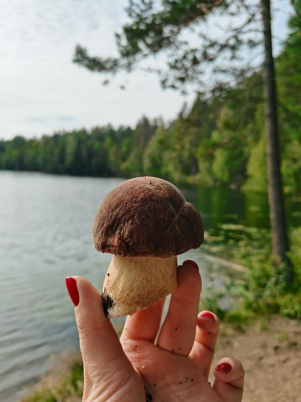 Фото Агроусадьба Ивановых. Старый хутор Тауно Туоми