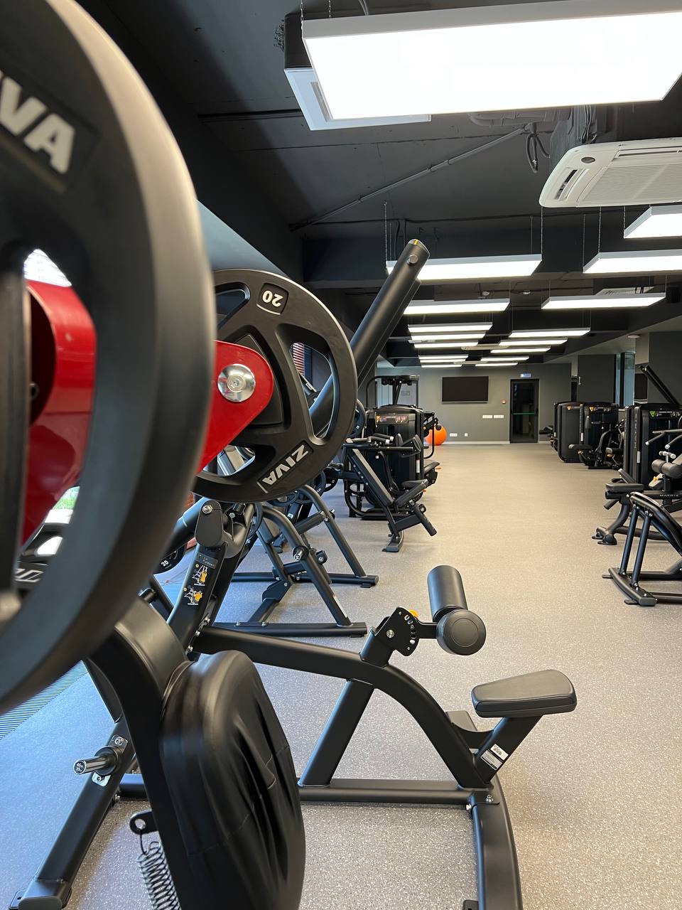 Фото Эдельвейс