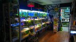 ZOOмагазин Nemo (Shkolnaya ulitsa, 8А), pet shop