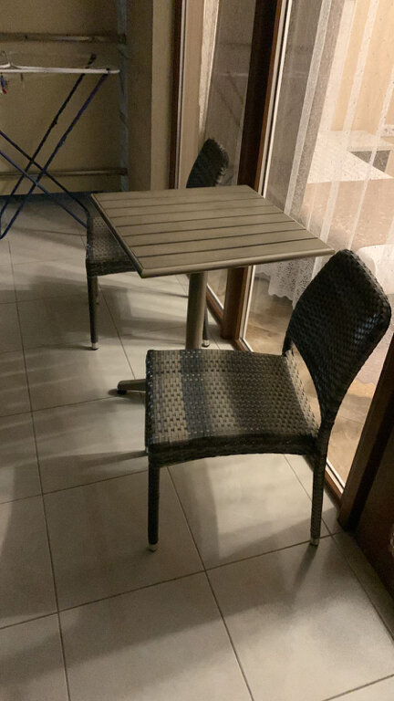 Фото Ленивый тюлень